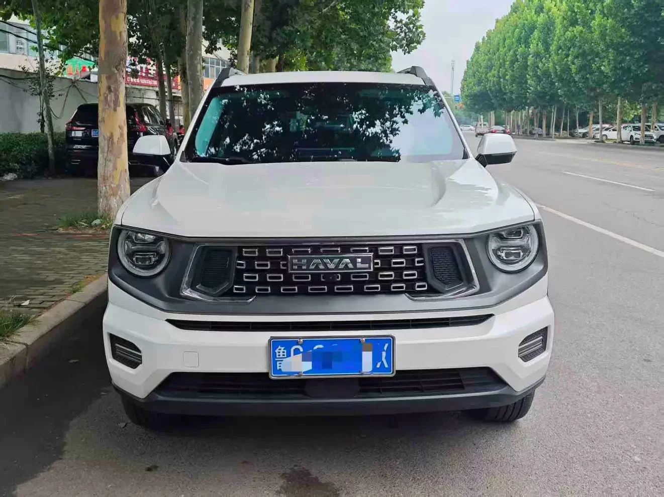 Haval H-Dog (Big Dog PLUS)  из Китая