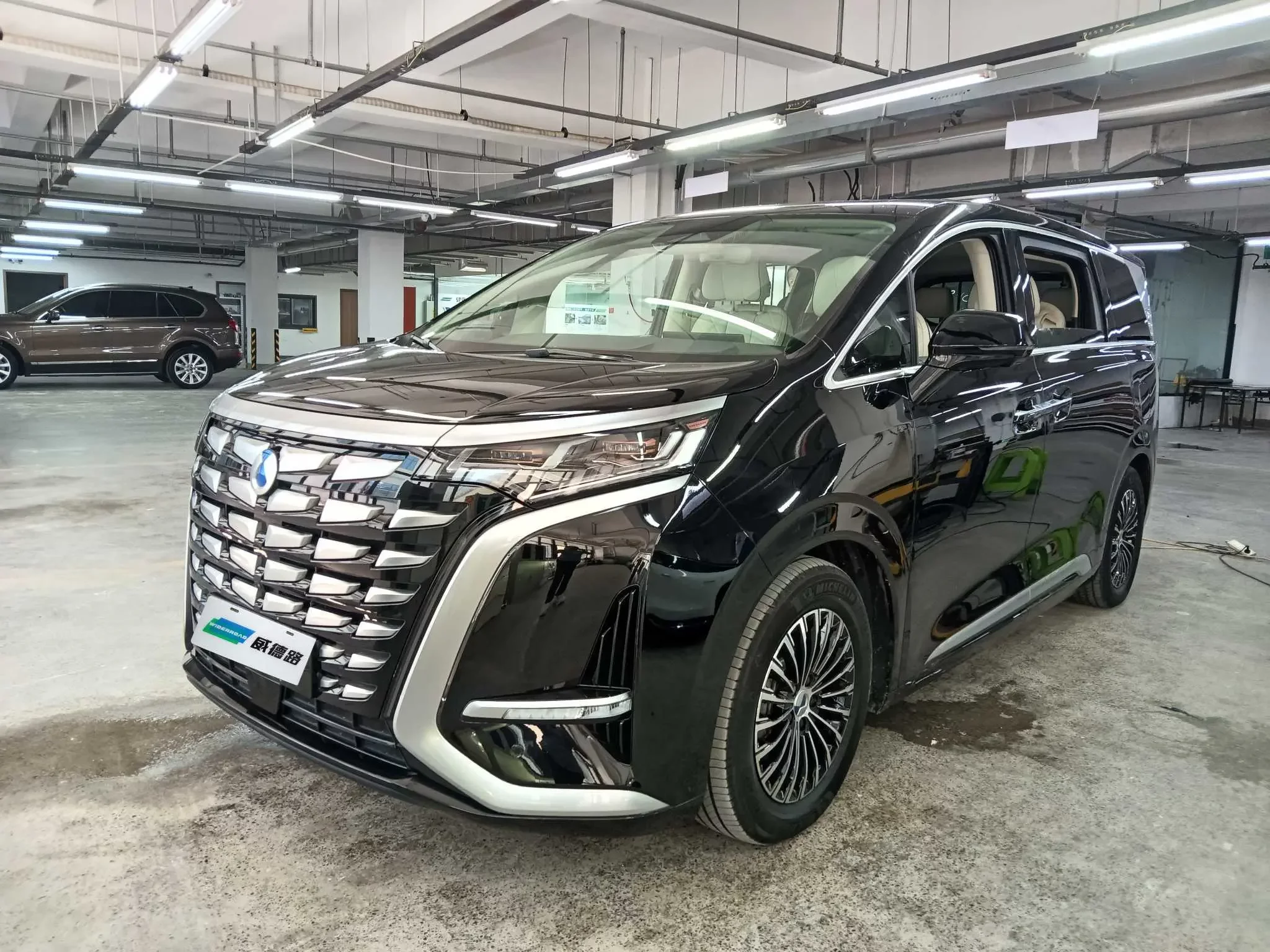 Denza D9 DM