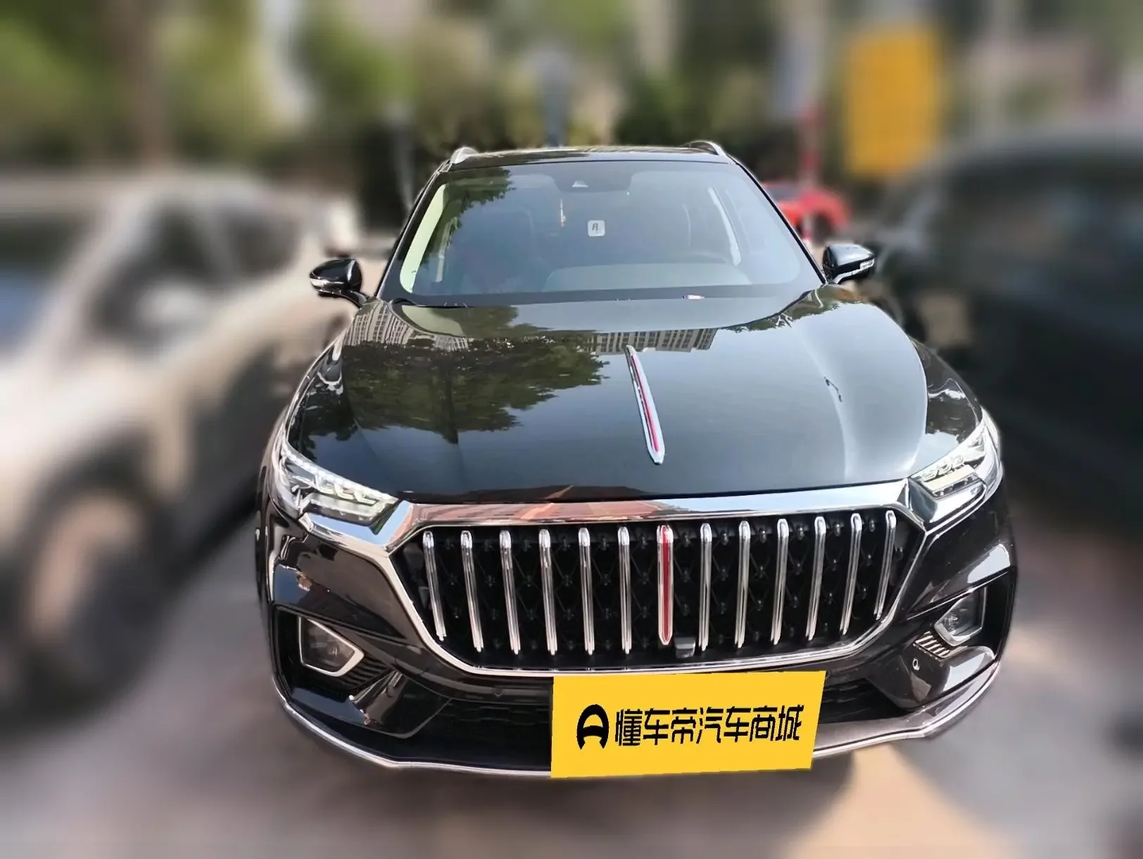 Hongqi HS5