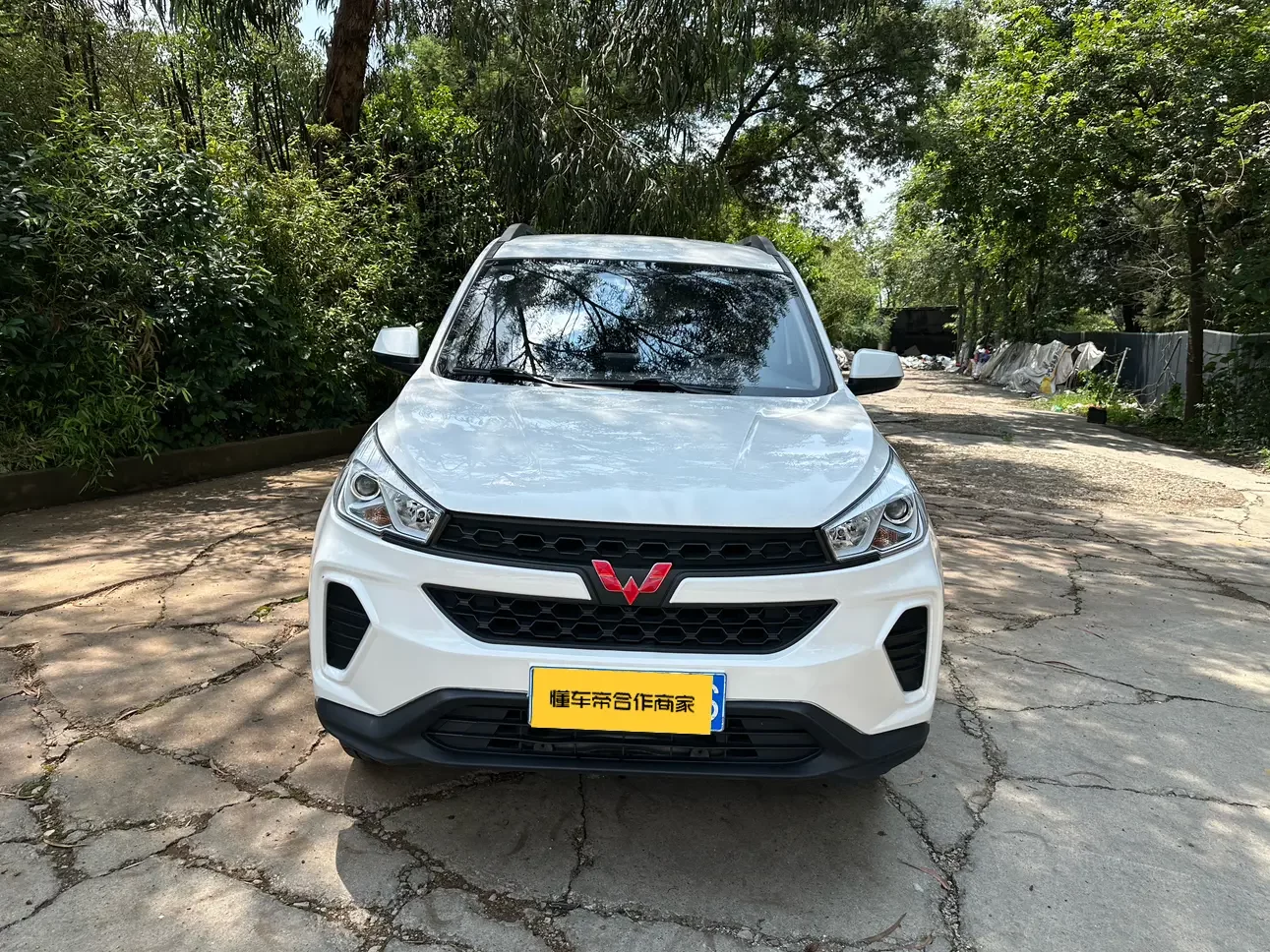 Wuling Hongguang S3