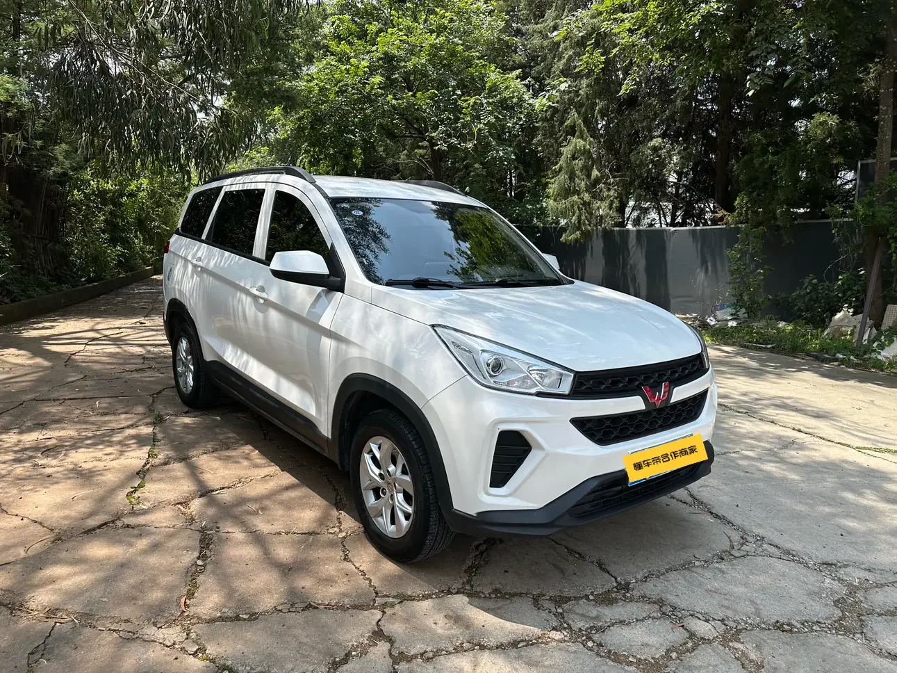 Wuling Hongguang S3