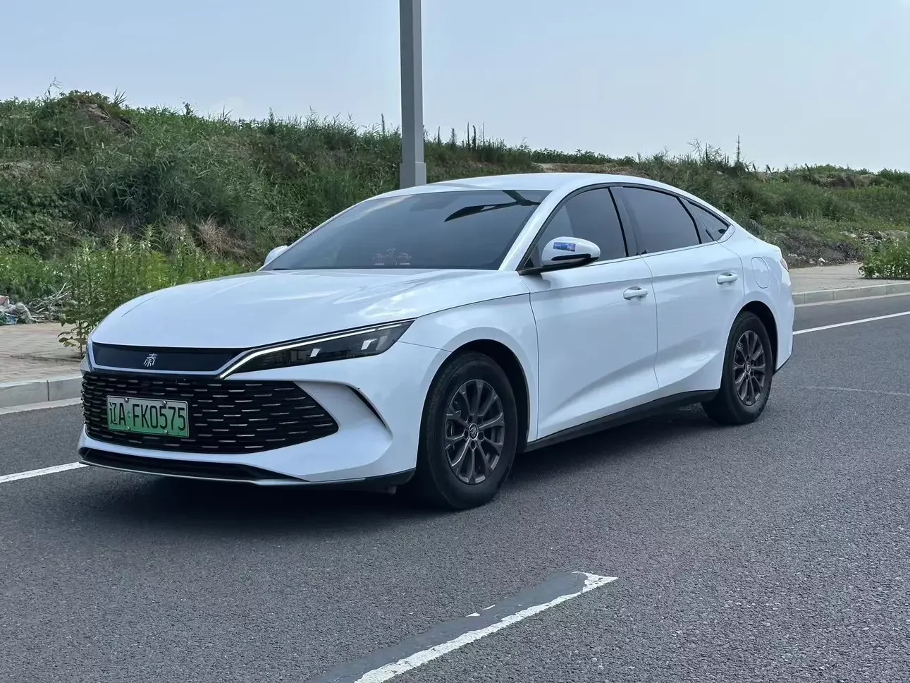 BYD Qin L DM
