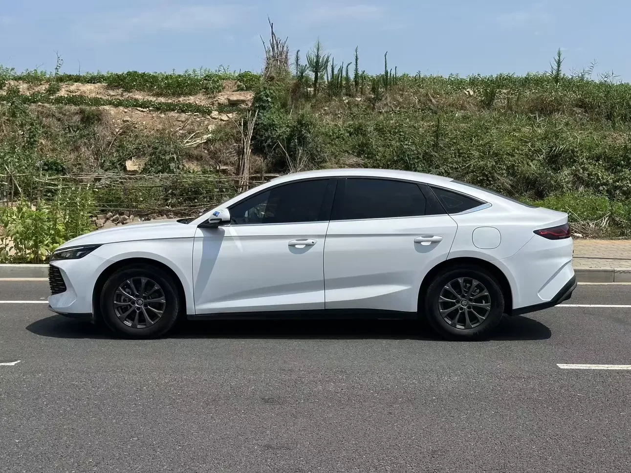 BYD Qin L DM