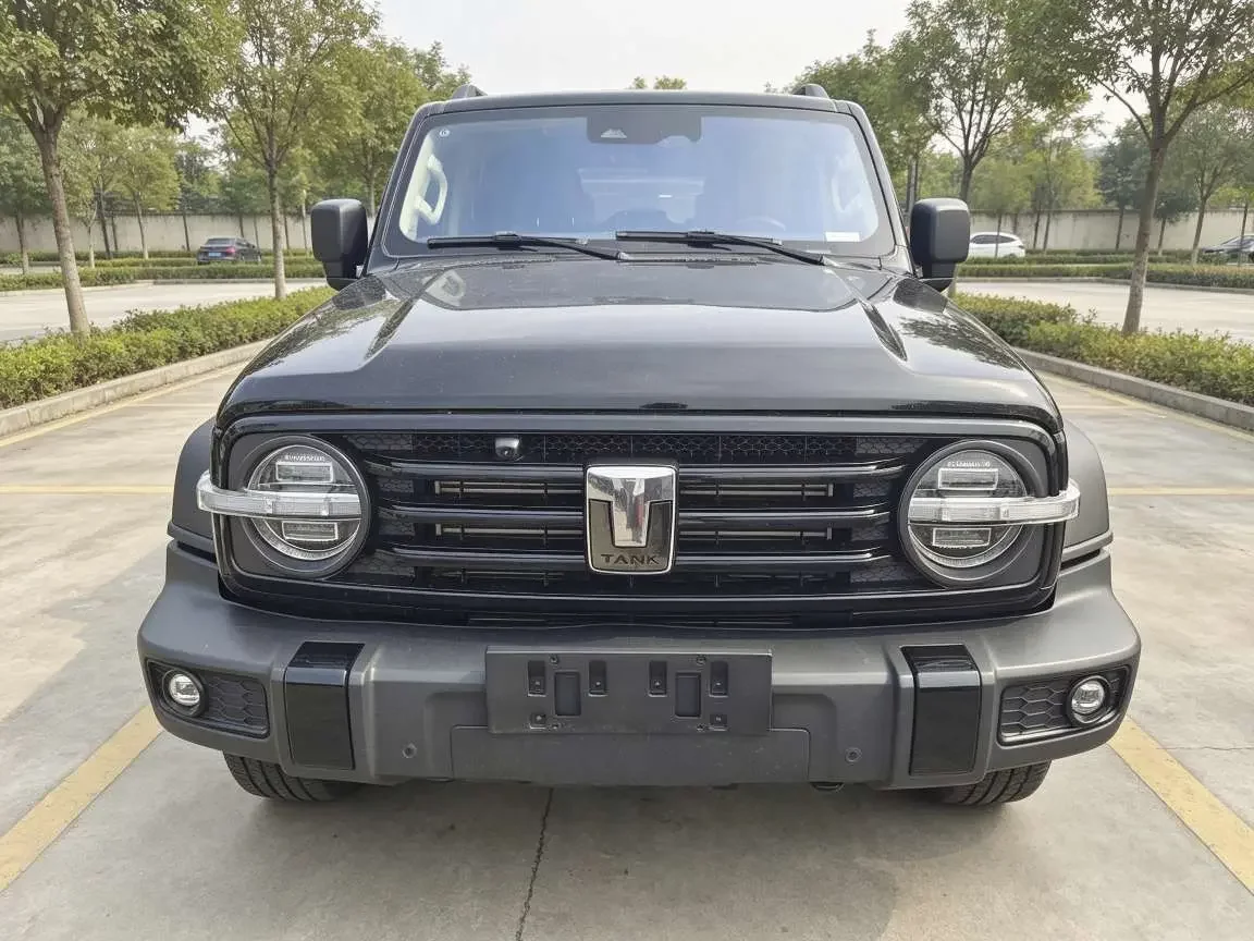 Tank 300