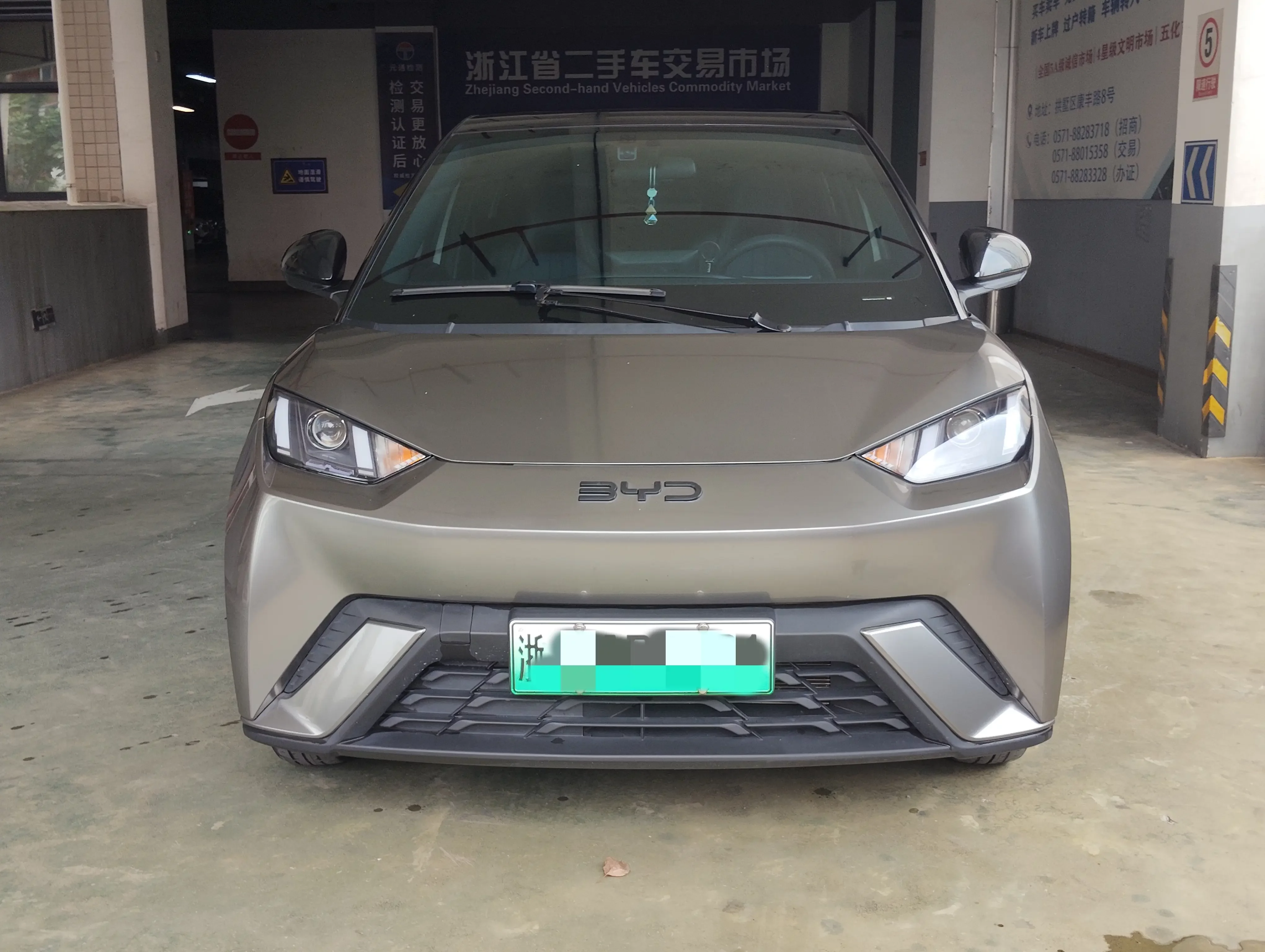 BYD seagull