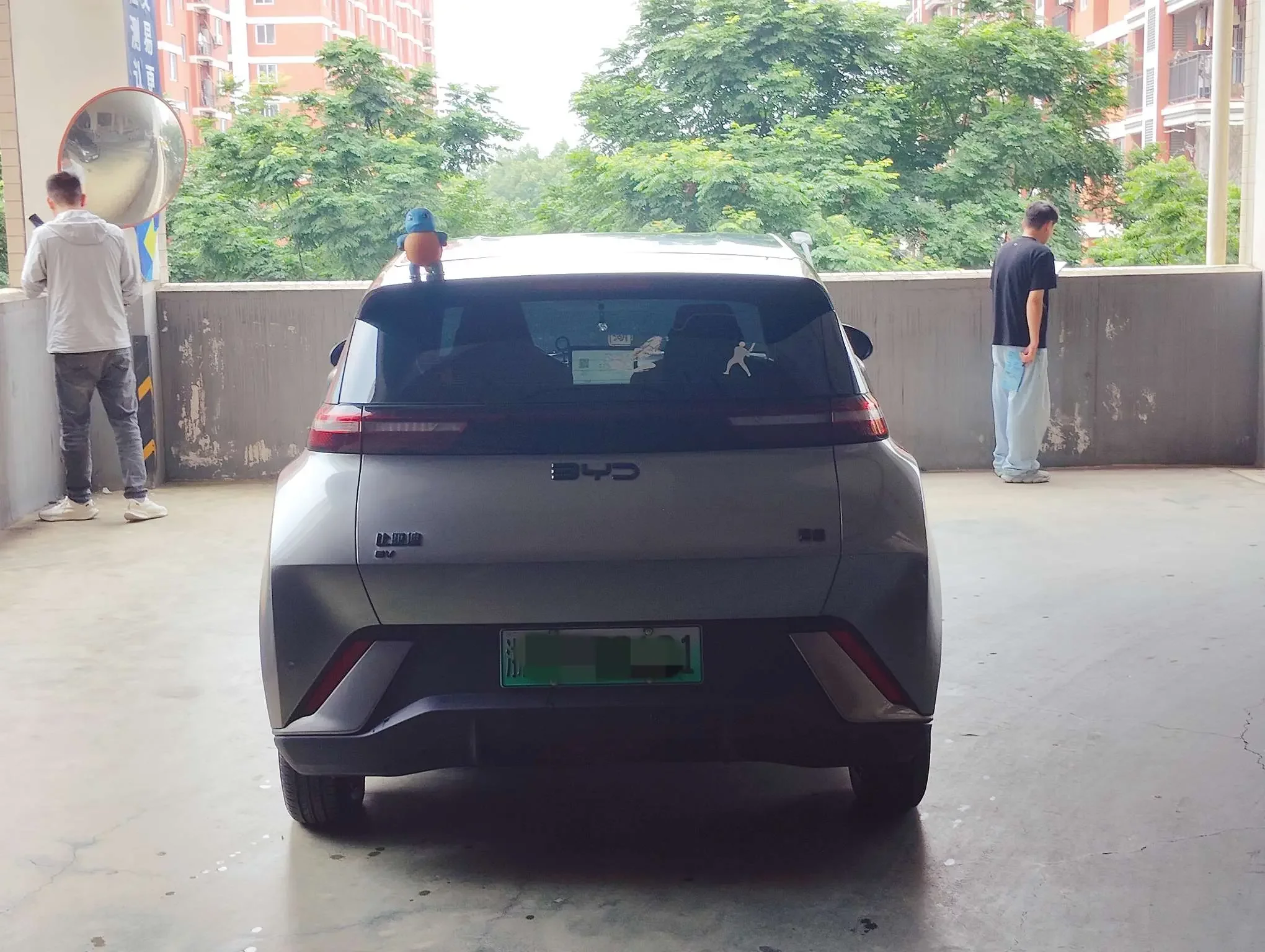 BYD seagull