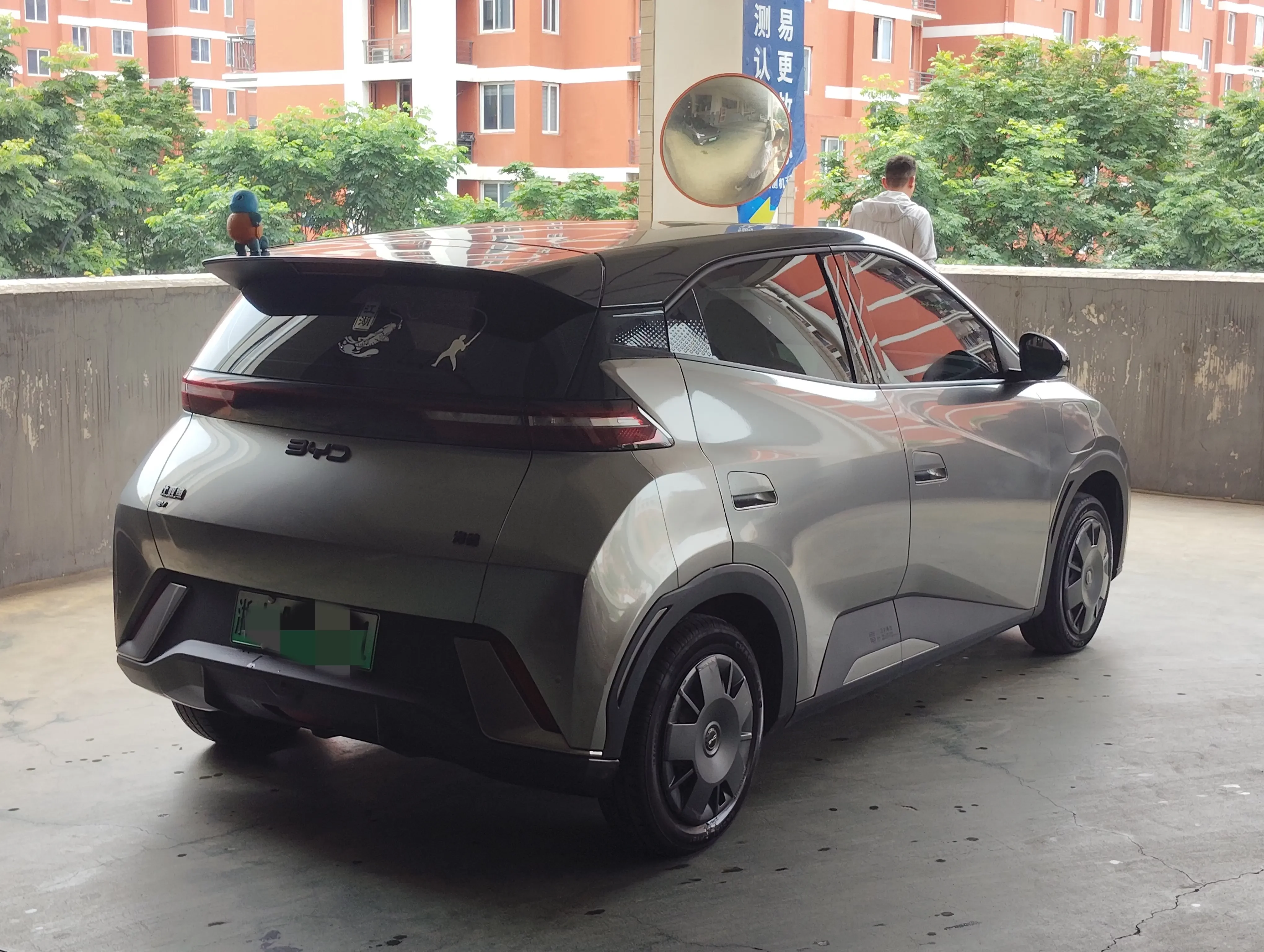 BYD seagull