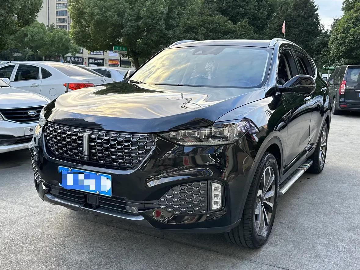 Wey Wei brand VV6