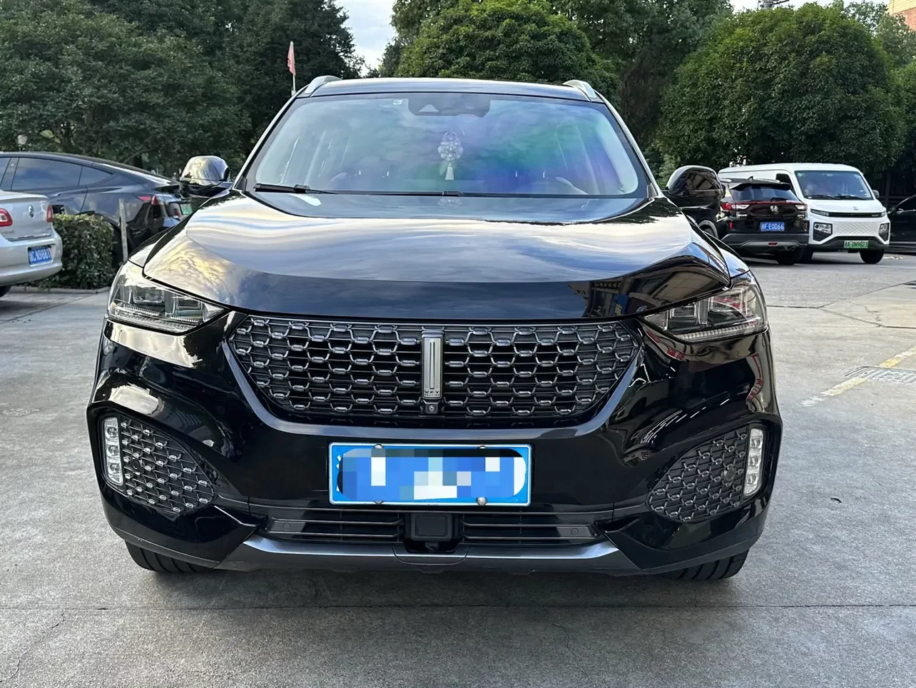 Wey Wei brand VV6