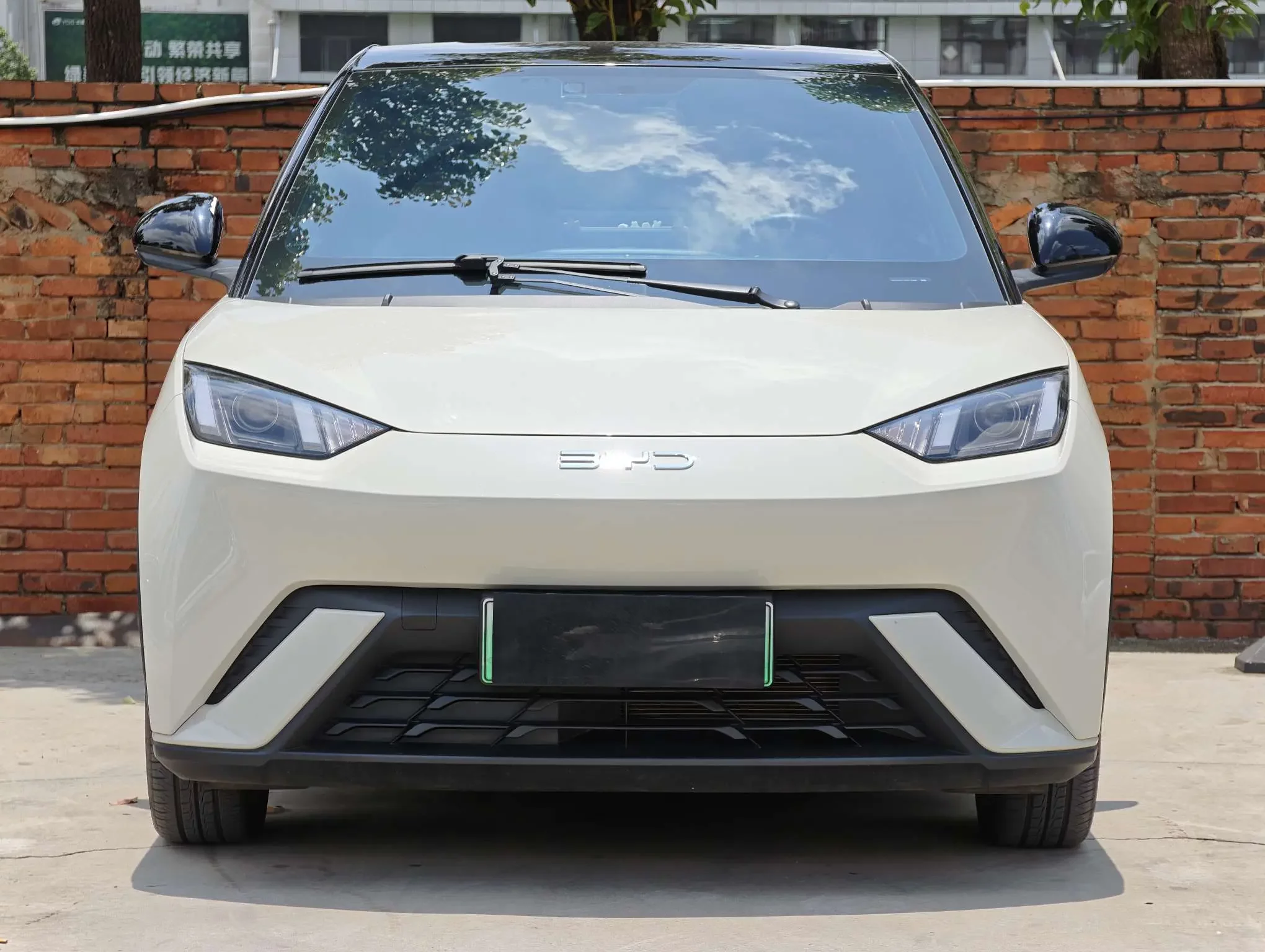 BYD seagull