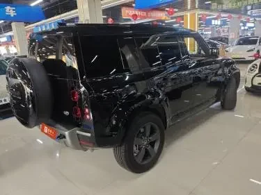 Land Rover guard