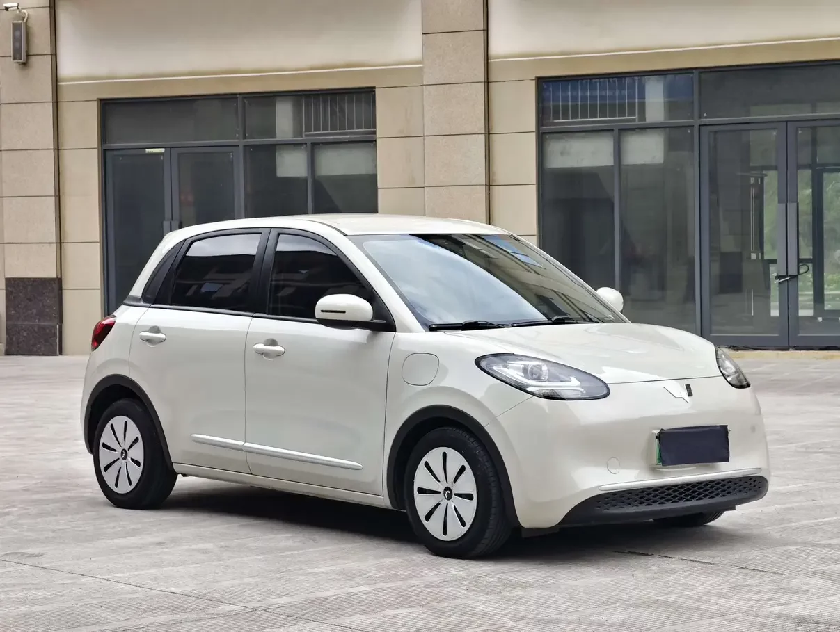 Wuling Bingo