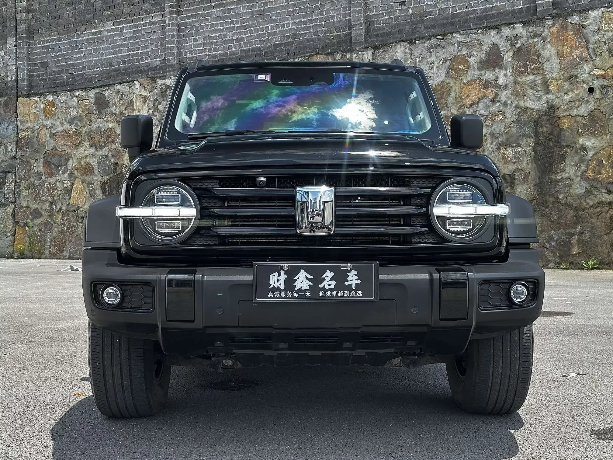 Tank 300