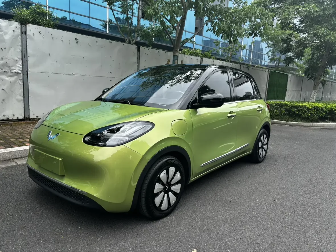 Wuling Bingo