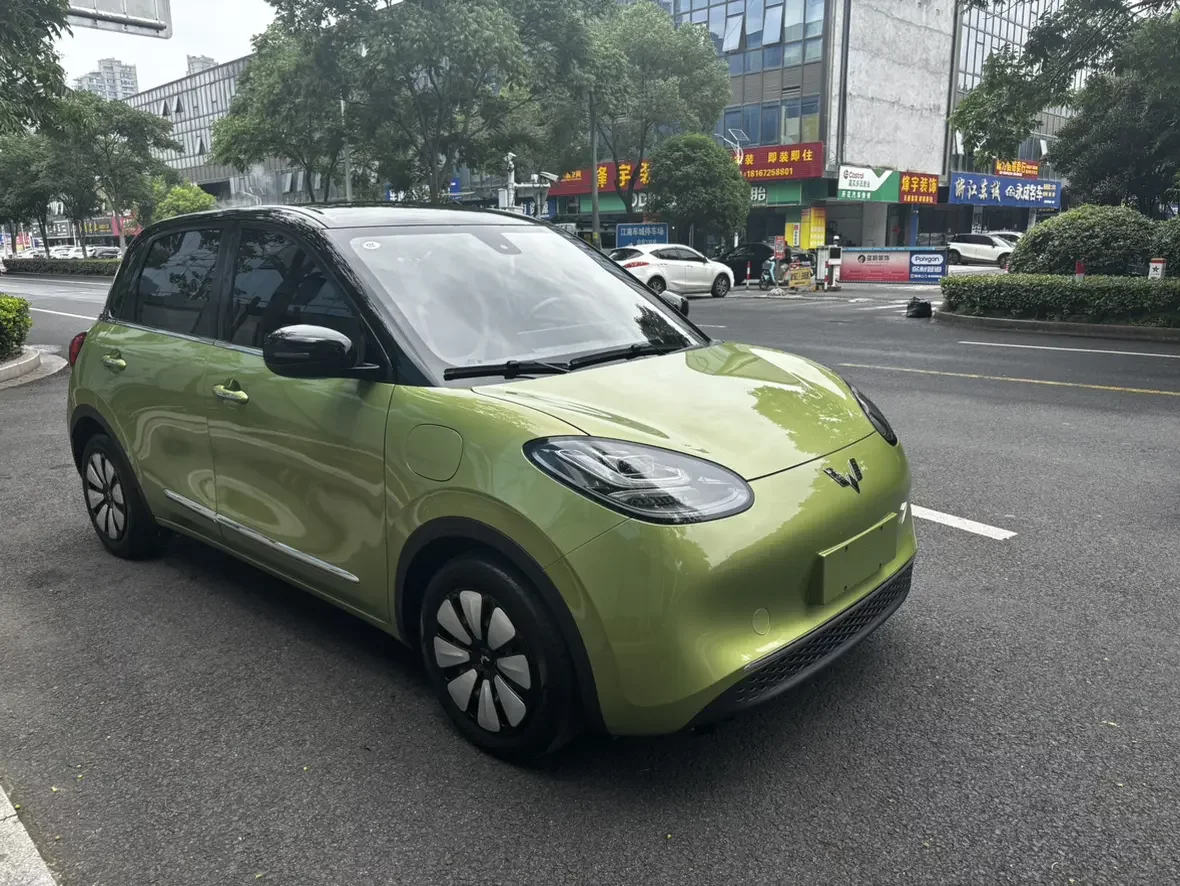 Wuling Bingo