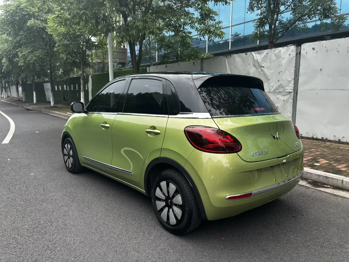 Wuling Bingo