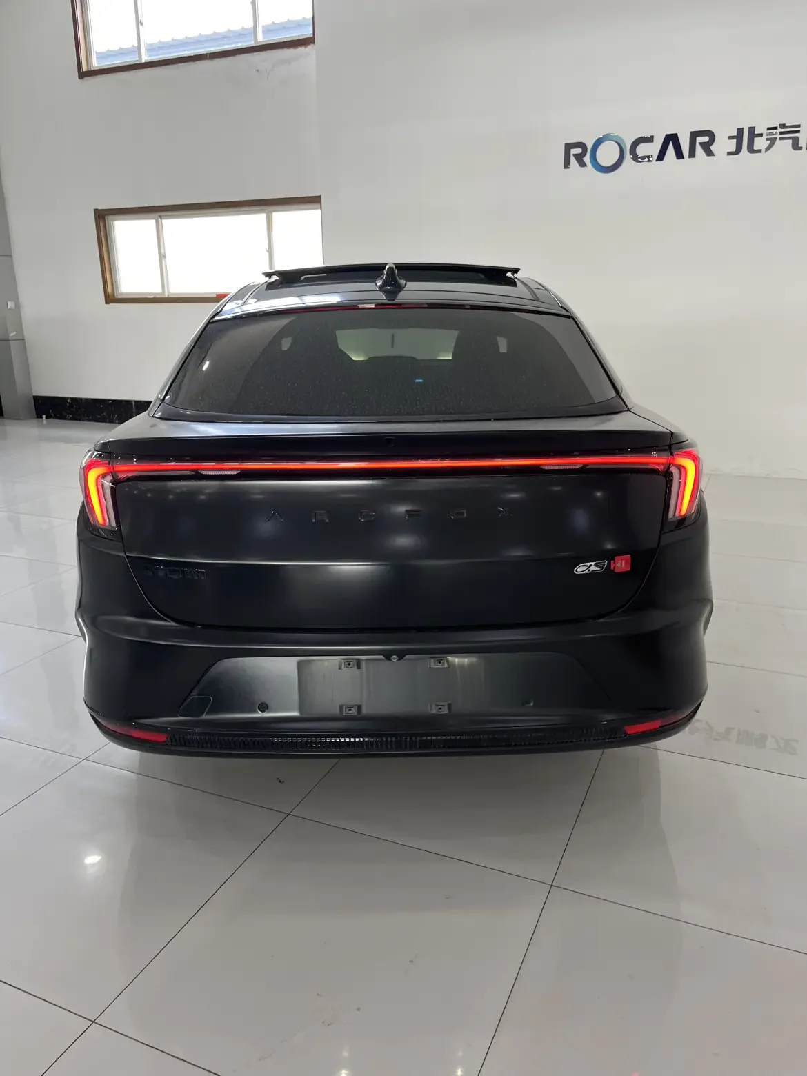 ARCFOX Extreme Fox Polar Fox Alpha S