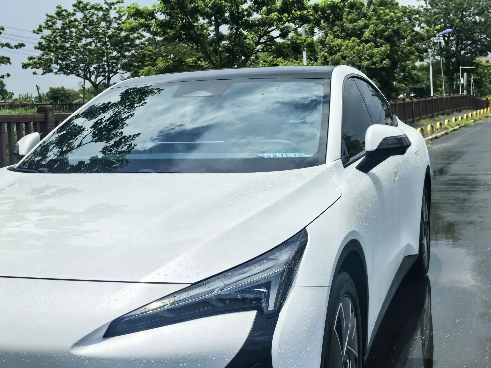 catalog-car-13