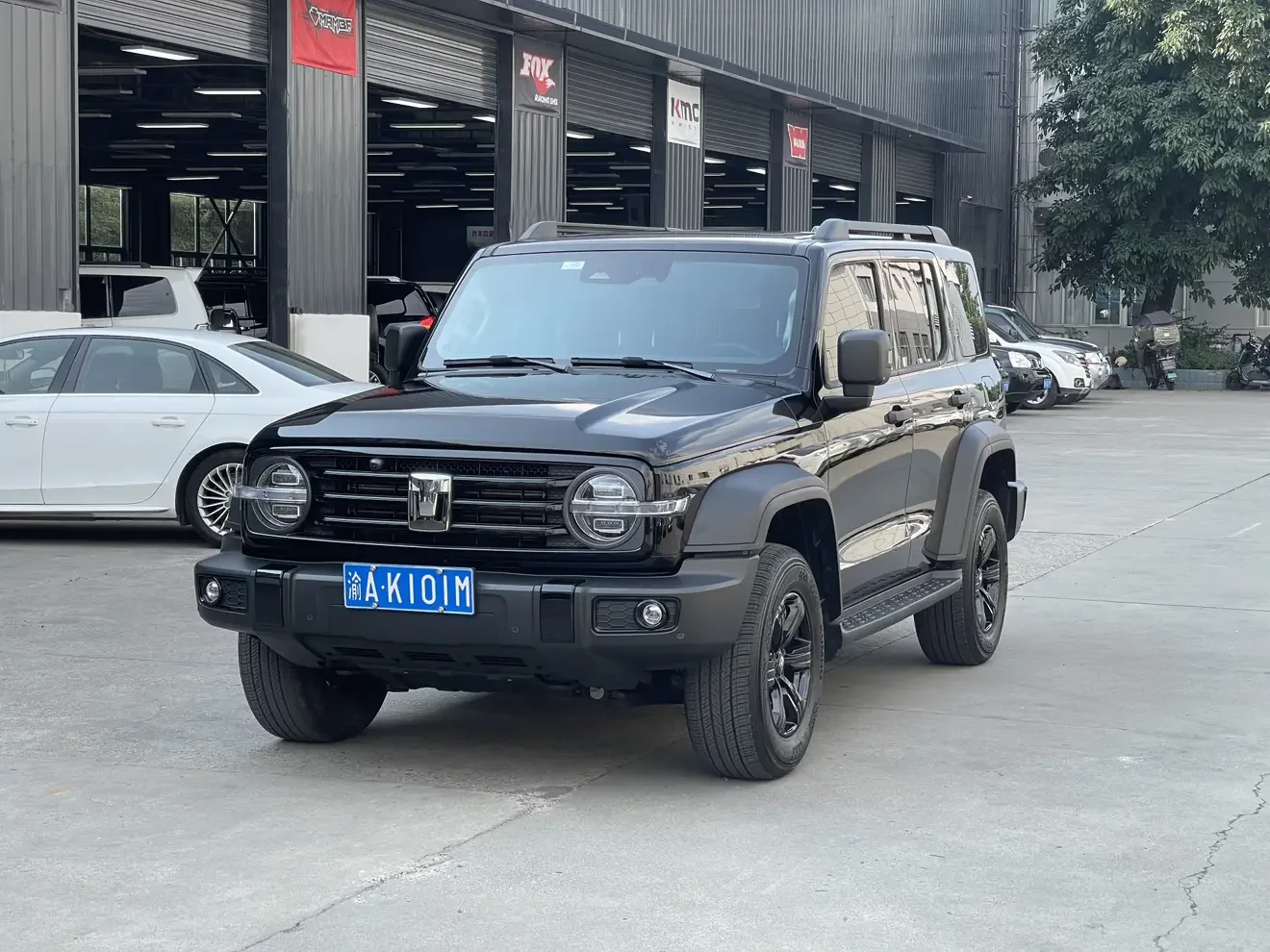 Tank 300