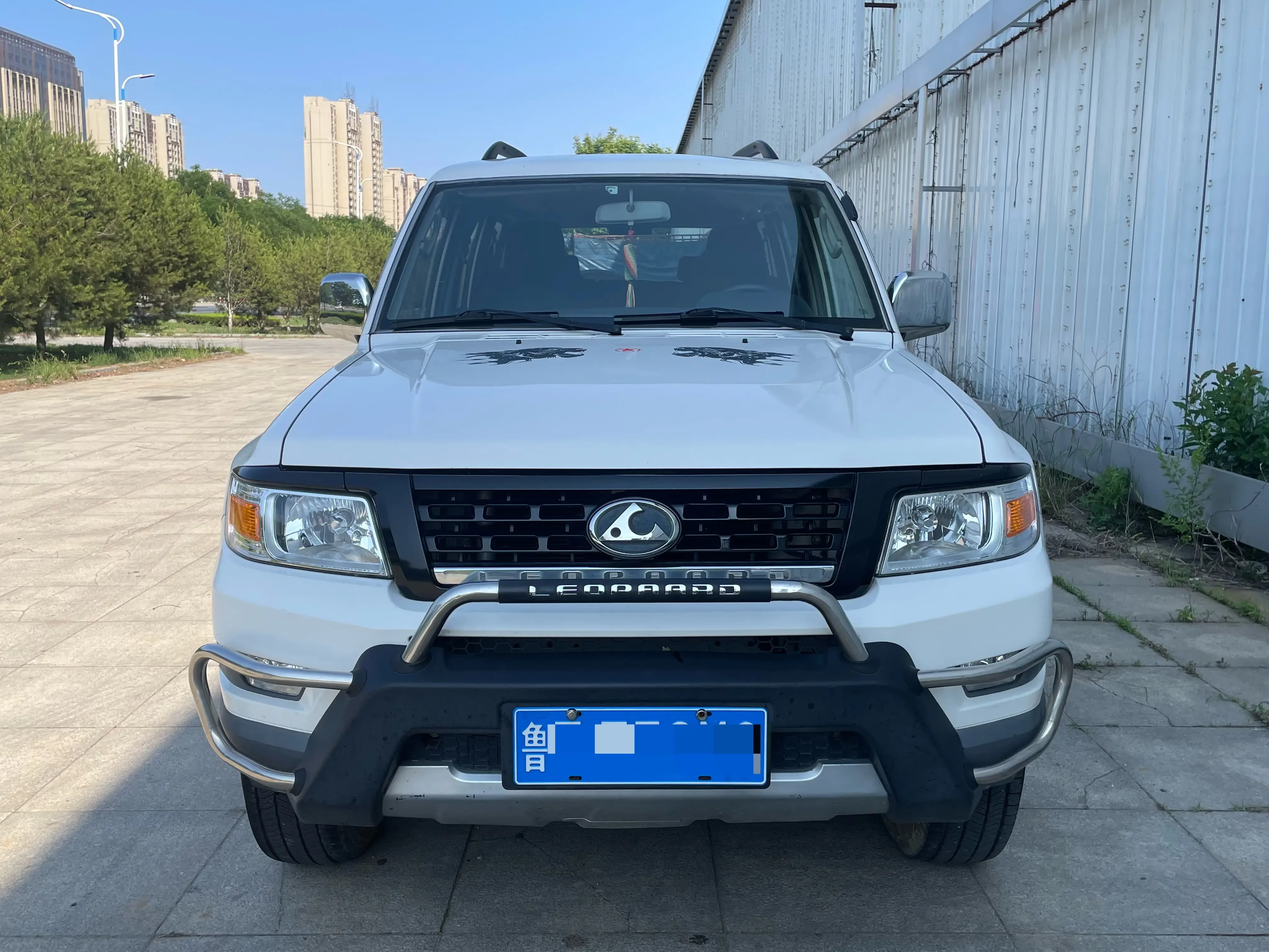 Cheetah cars Cheetah Q6  из Китая