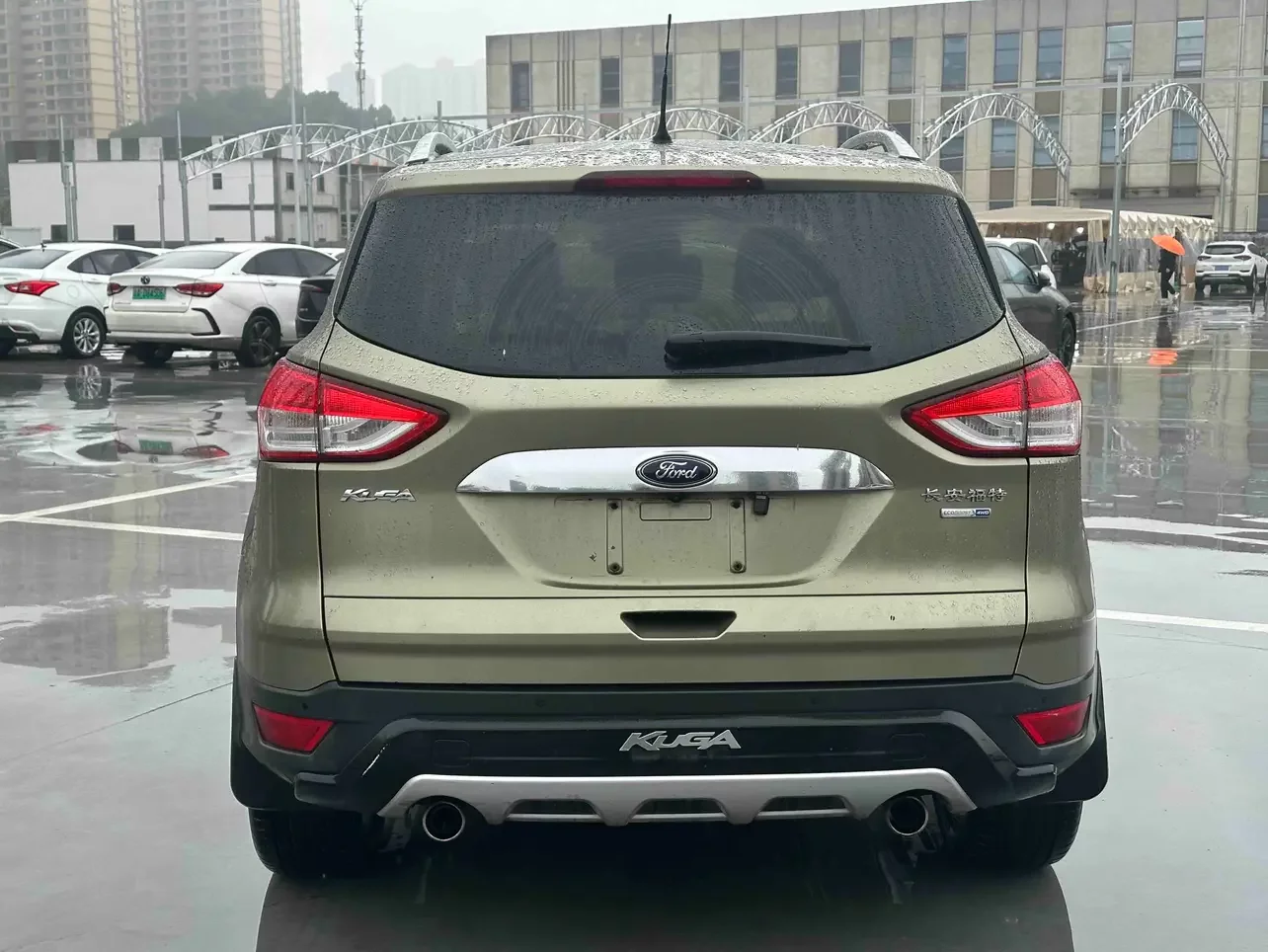 Ford wing tiger