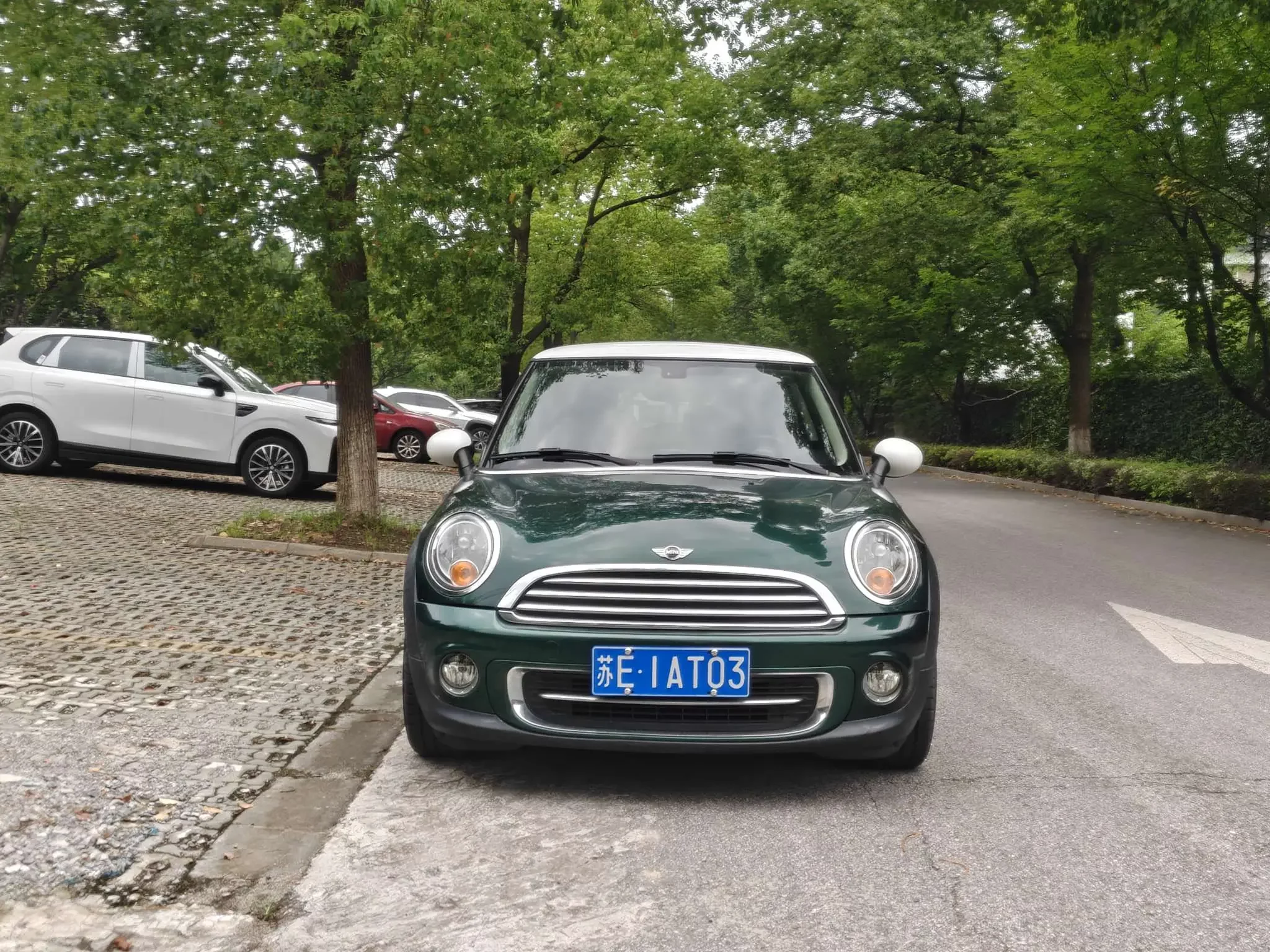 MINI 