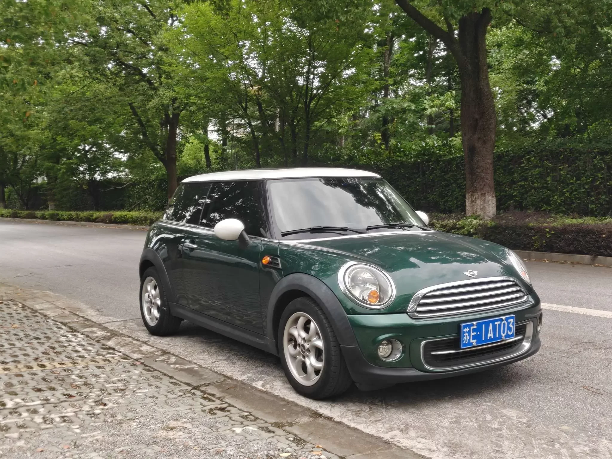 MINI 