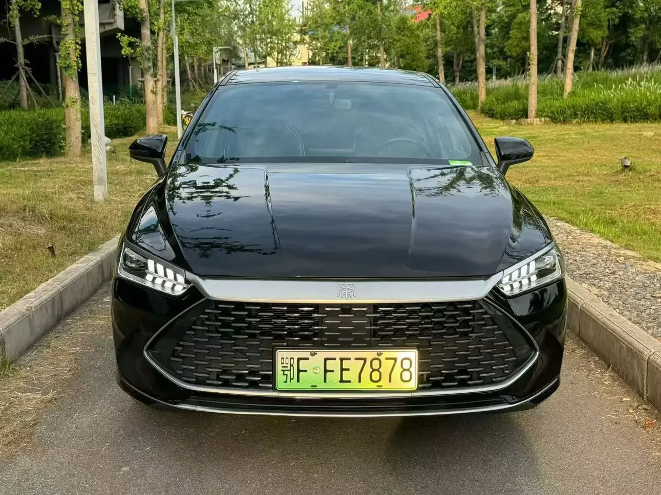 BYD Qin PLUS DM  из Китая