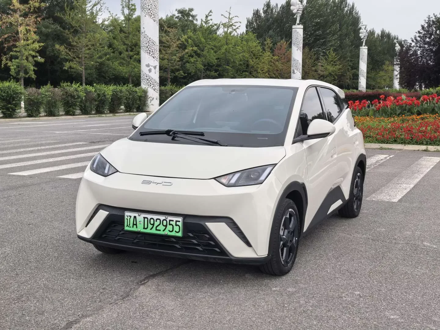 BYD seagull