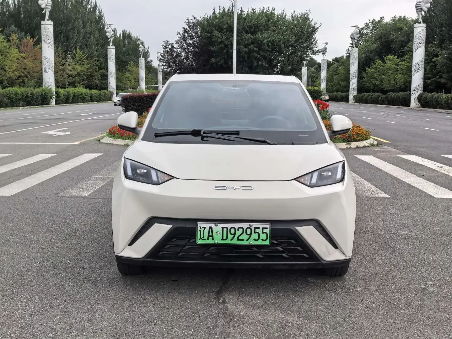 BYD seagull