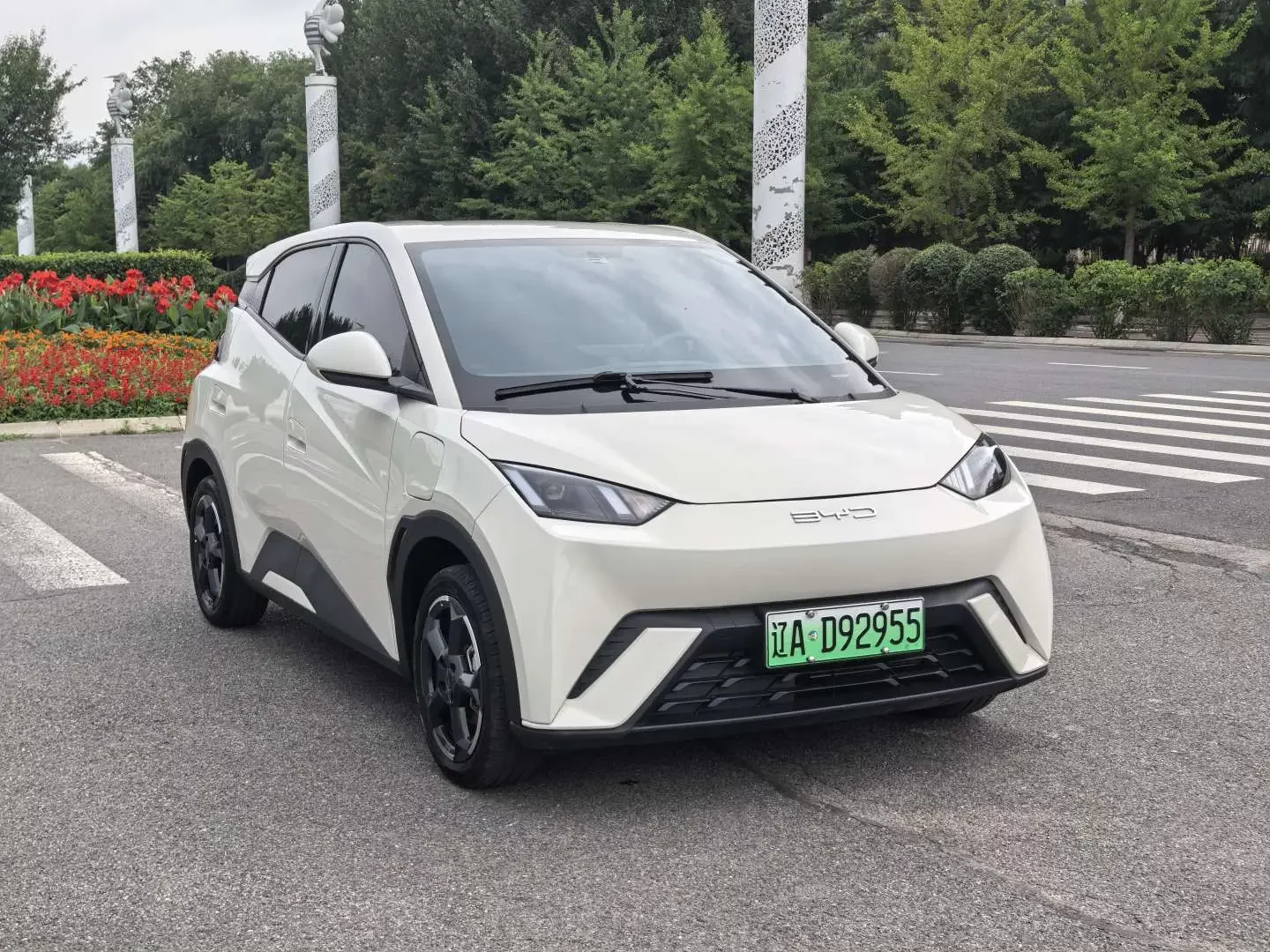 BYD seagull