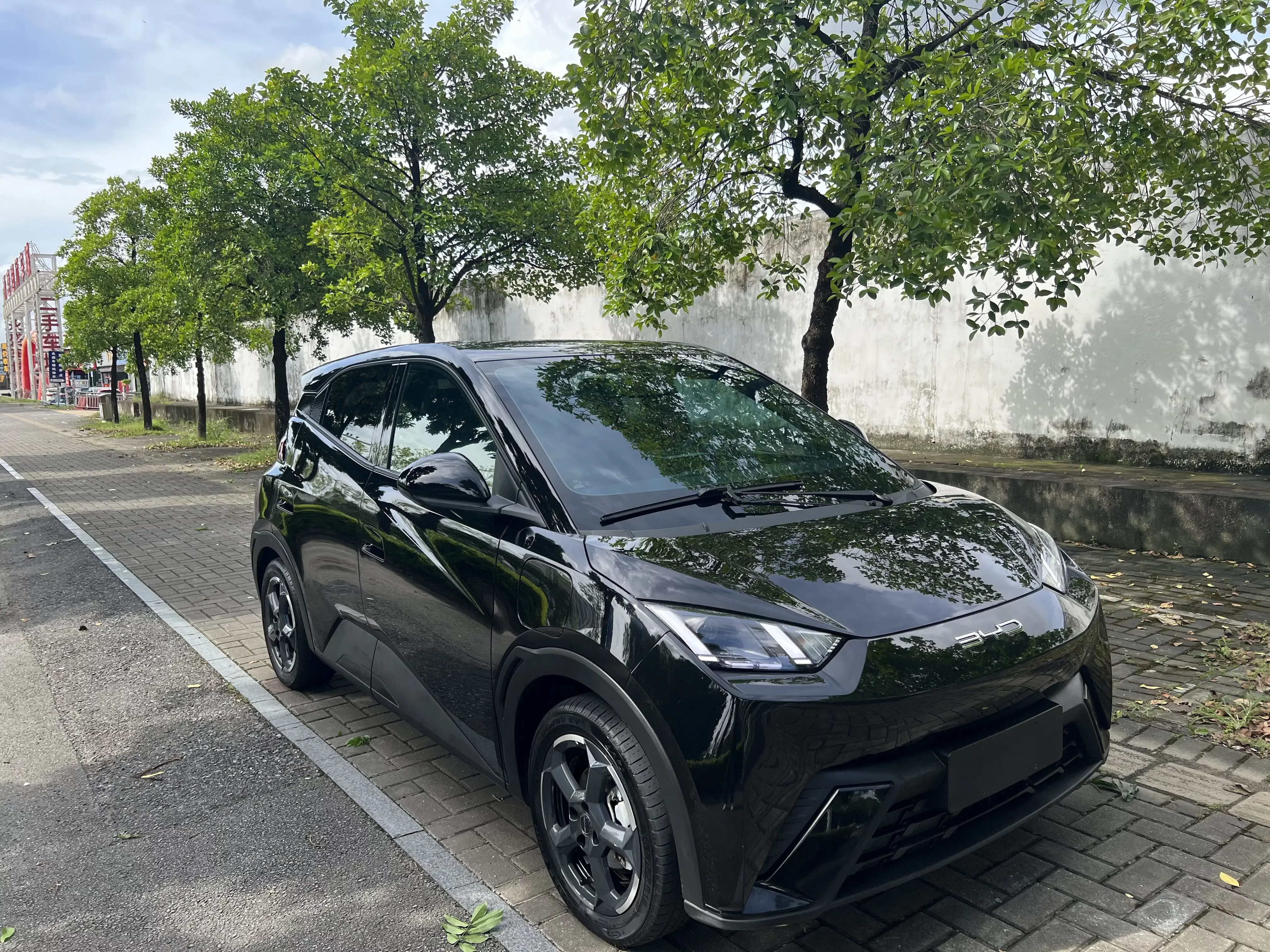 BYD seagull