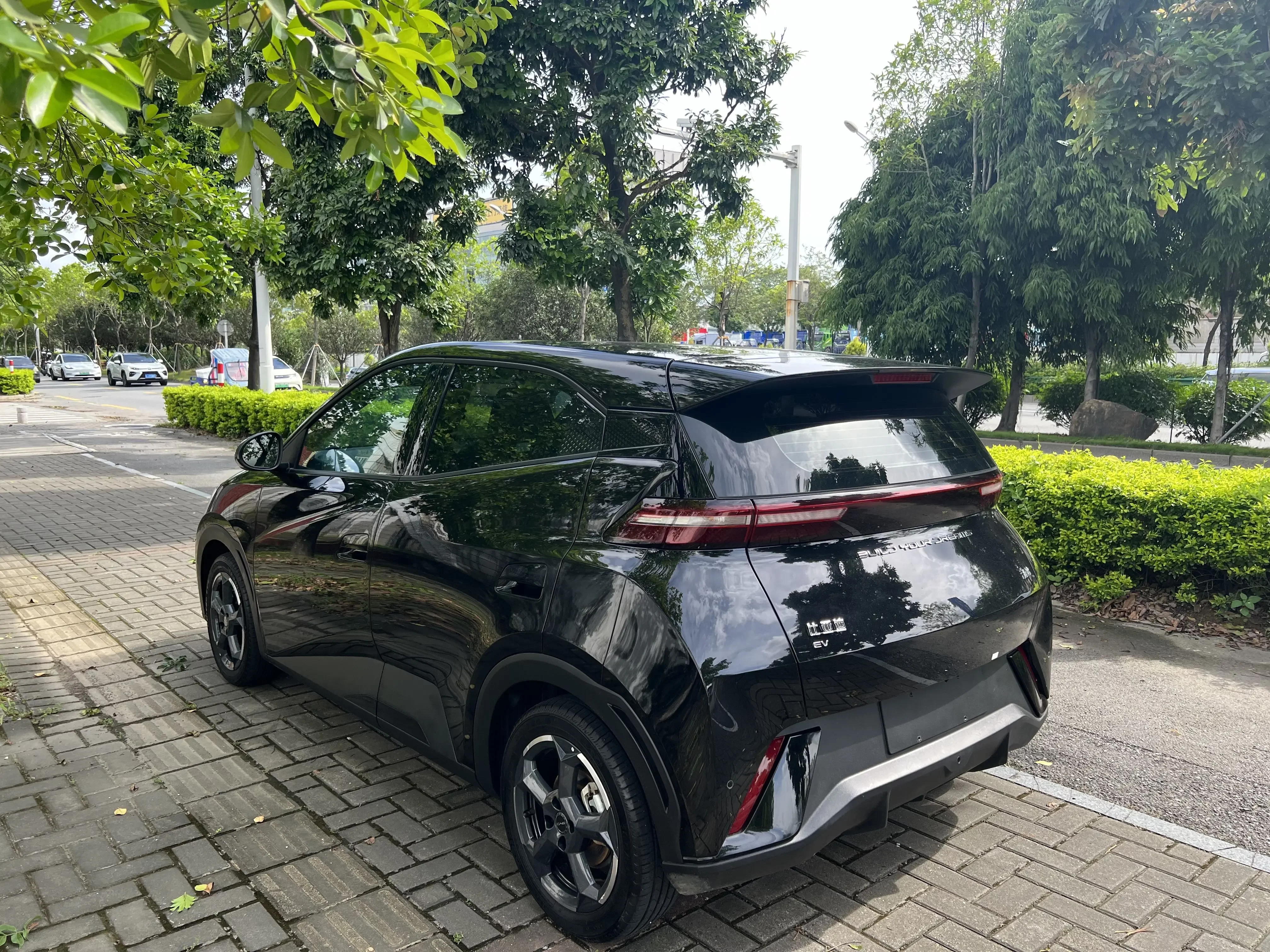 BYD seagull