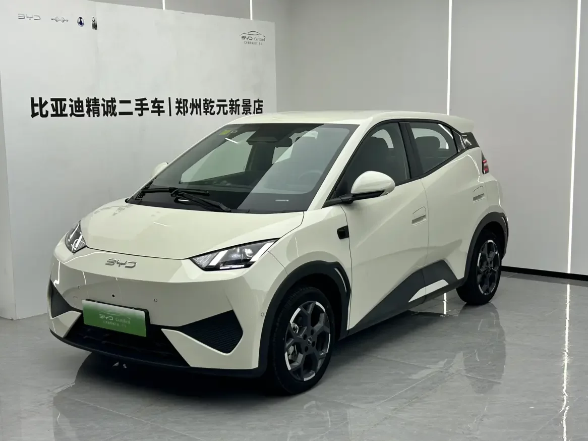 BYD seagull