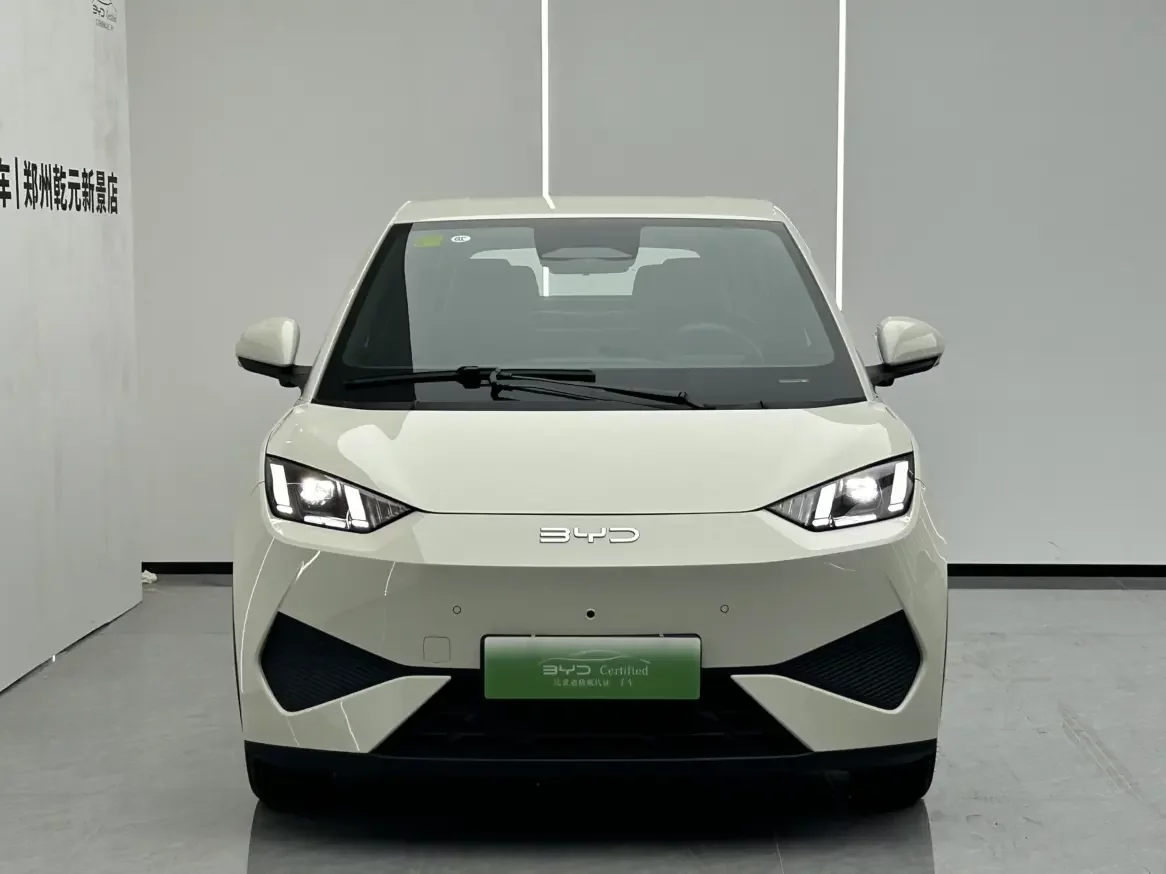 BYD seagull