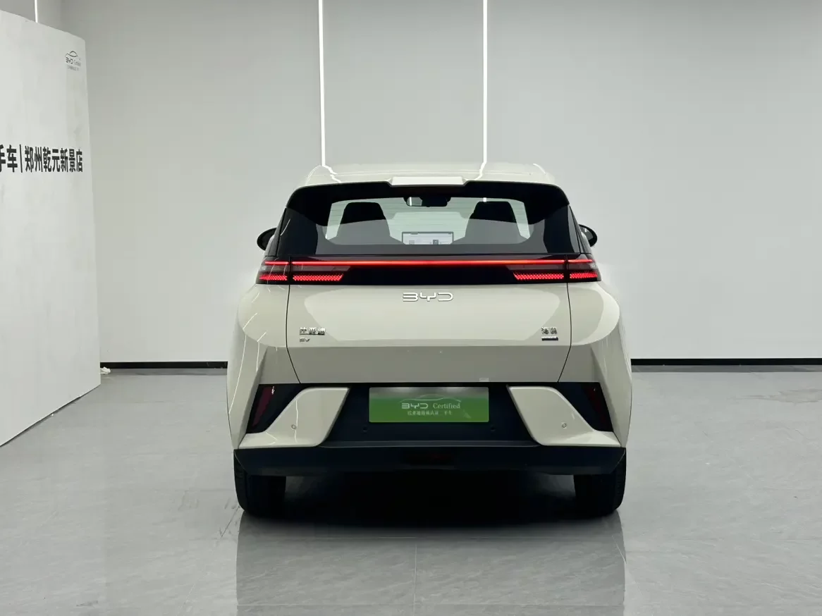 BYD seagull