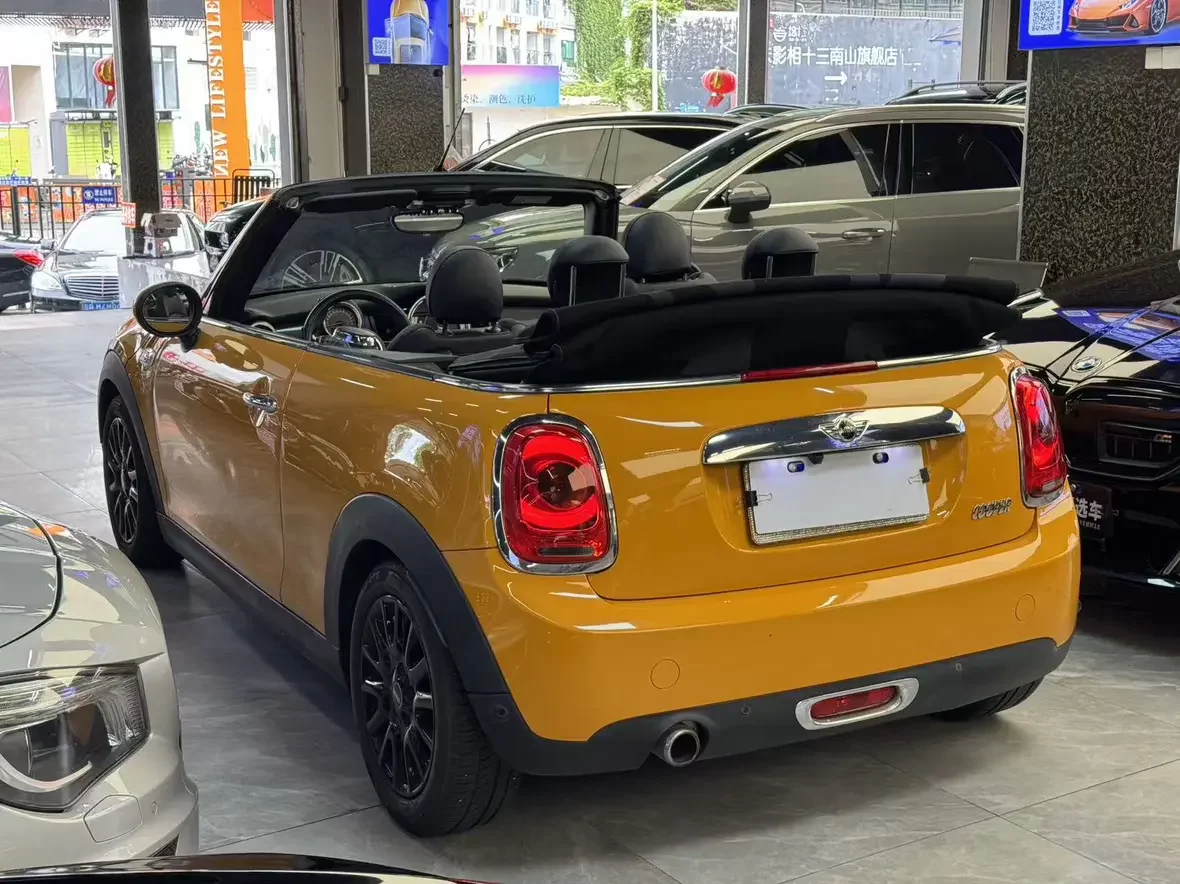 MINI 