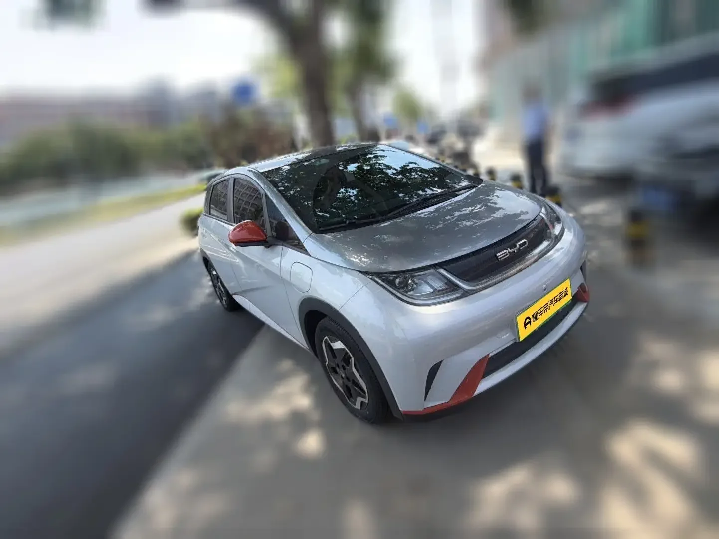BYD dolphin