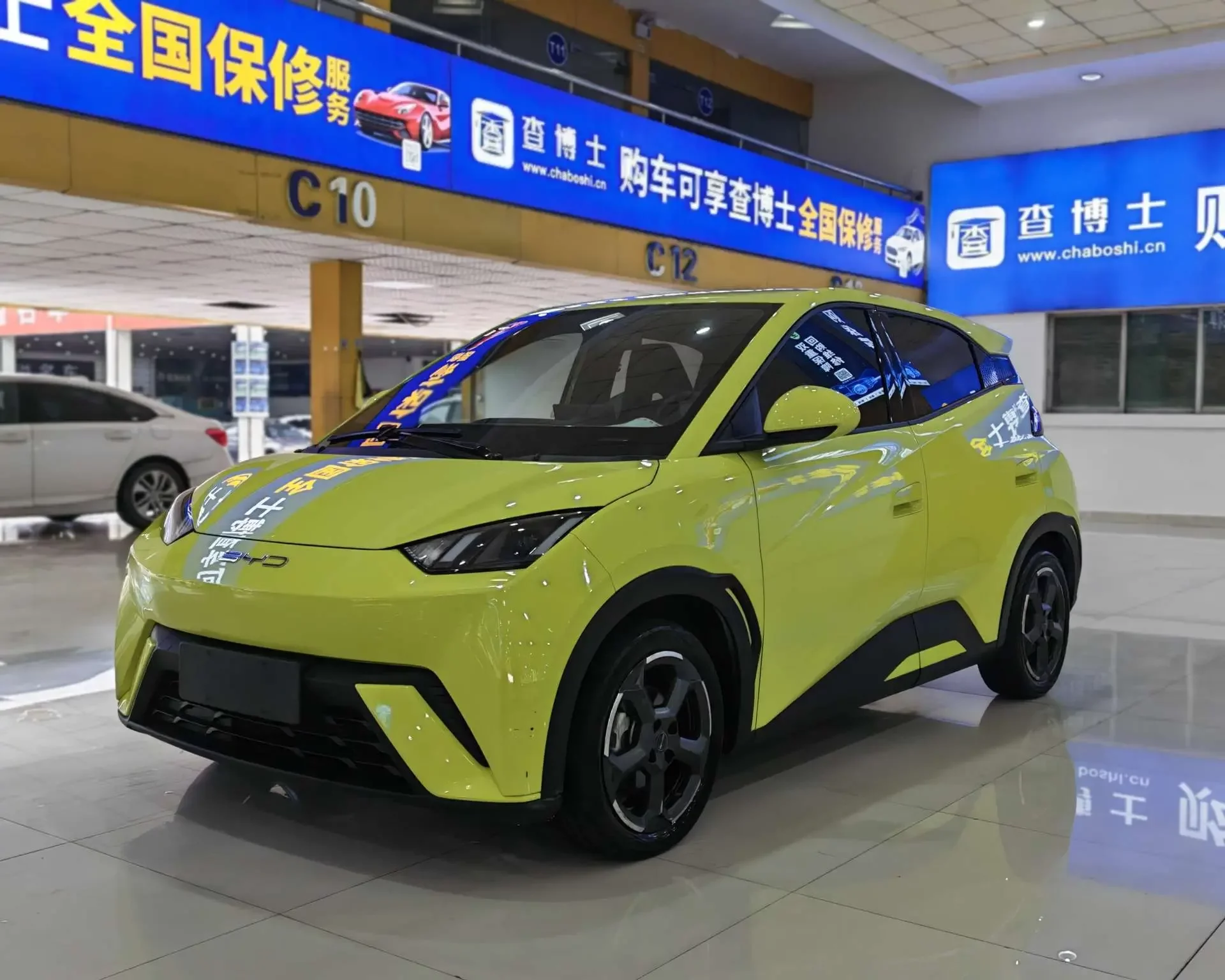 BYD seagull