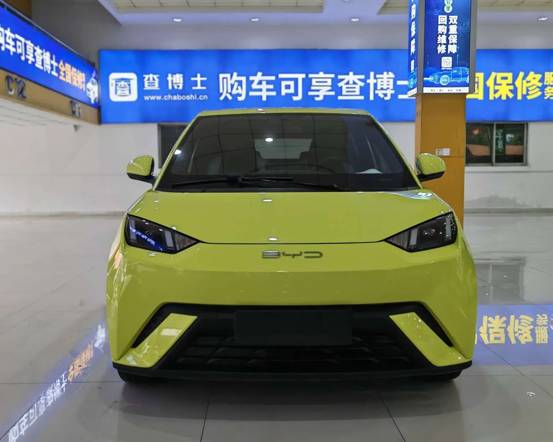 BYD seagull