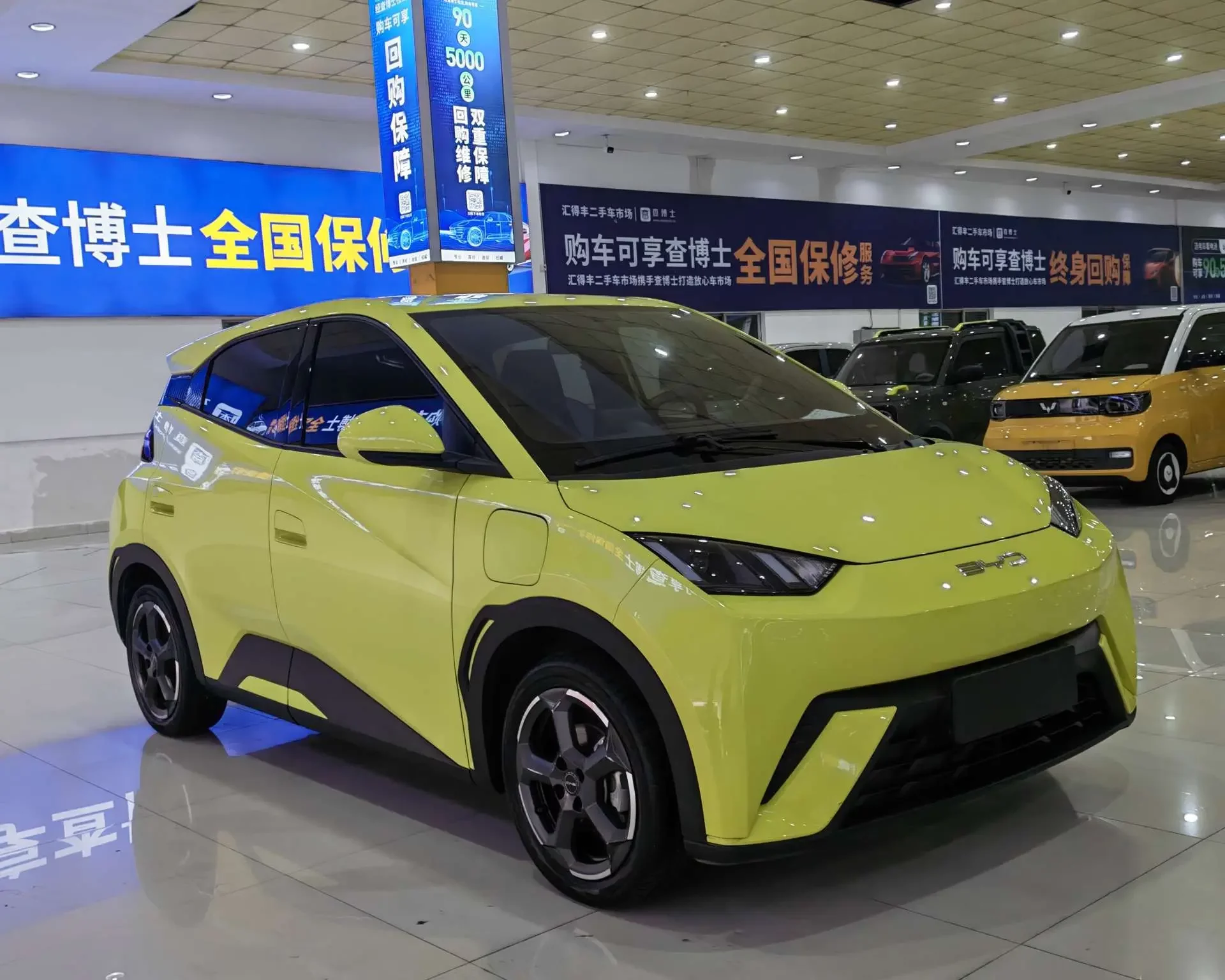 BYD seagull