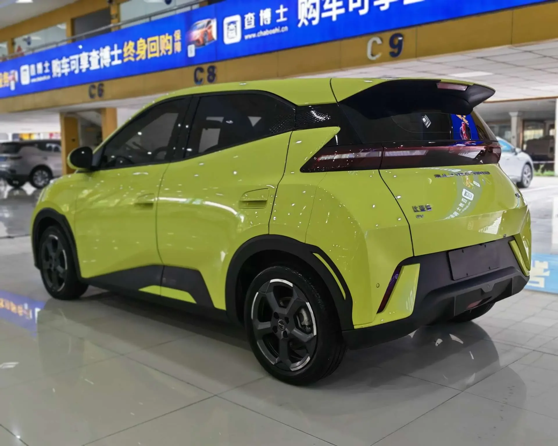 BYD seagull