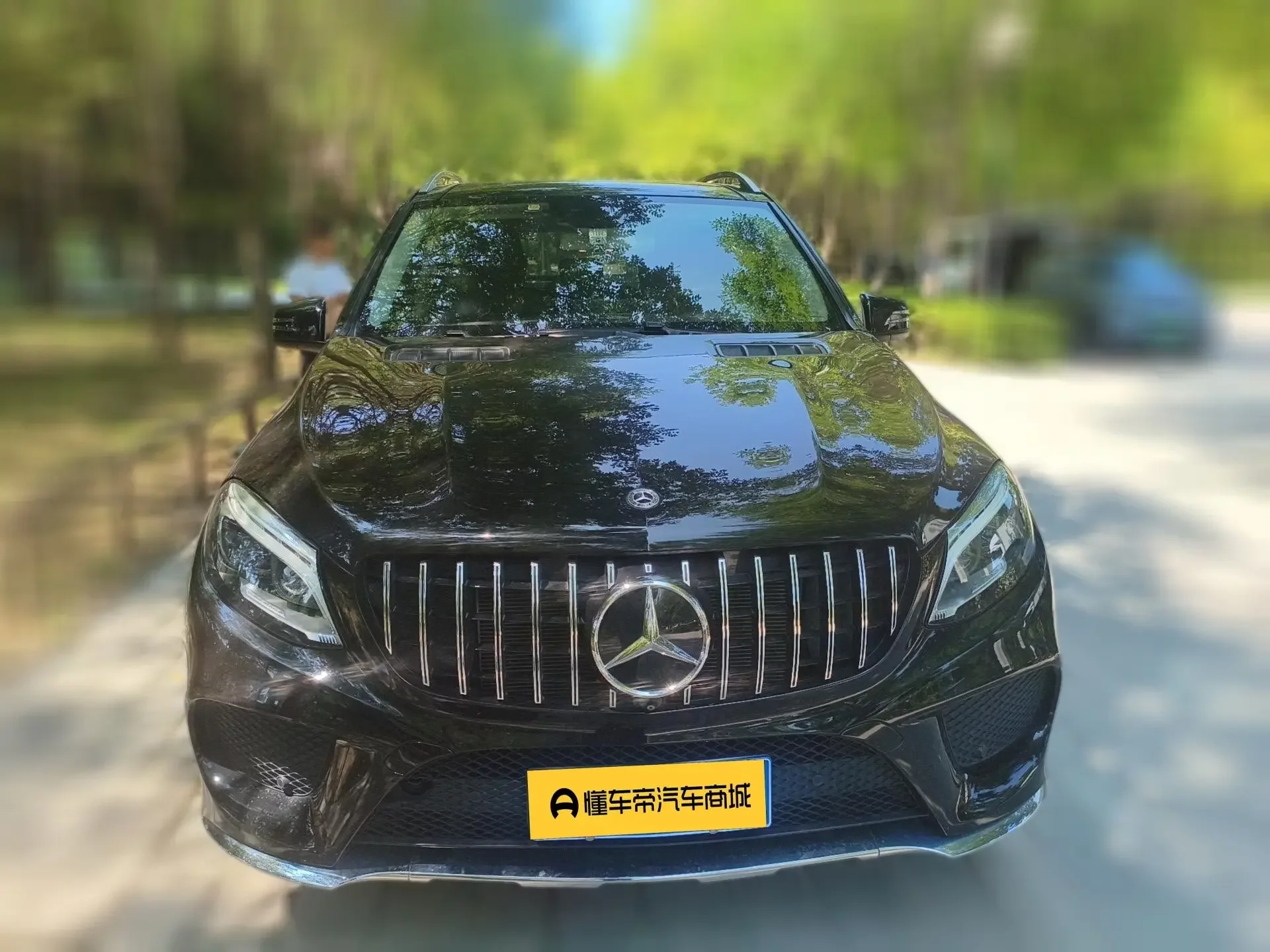 Mercedes-Benz GLE (Imported)