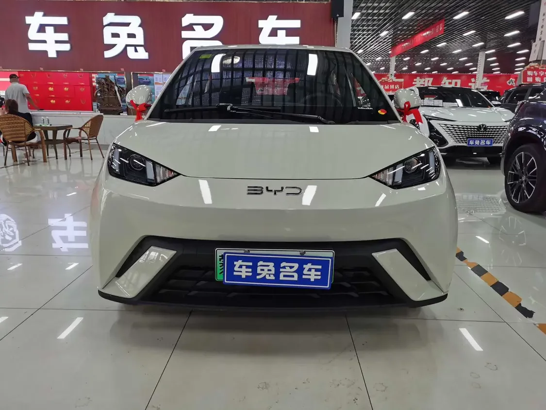BYD seagull