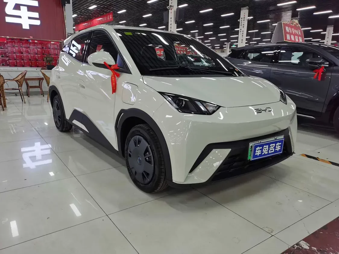 BYD seagull