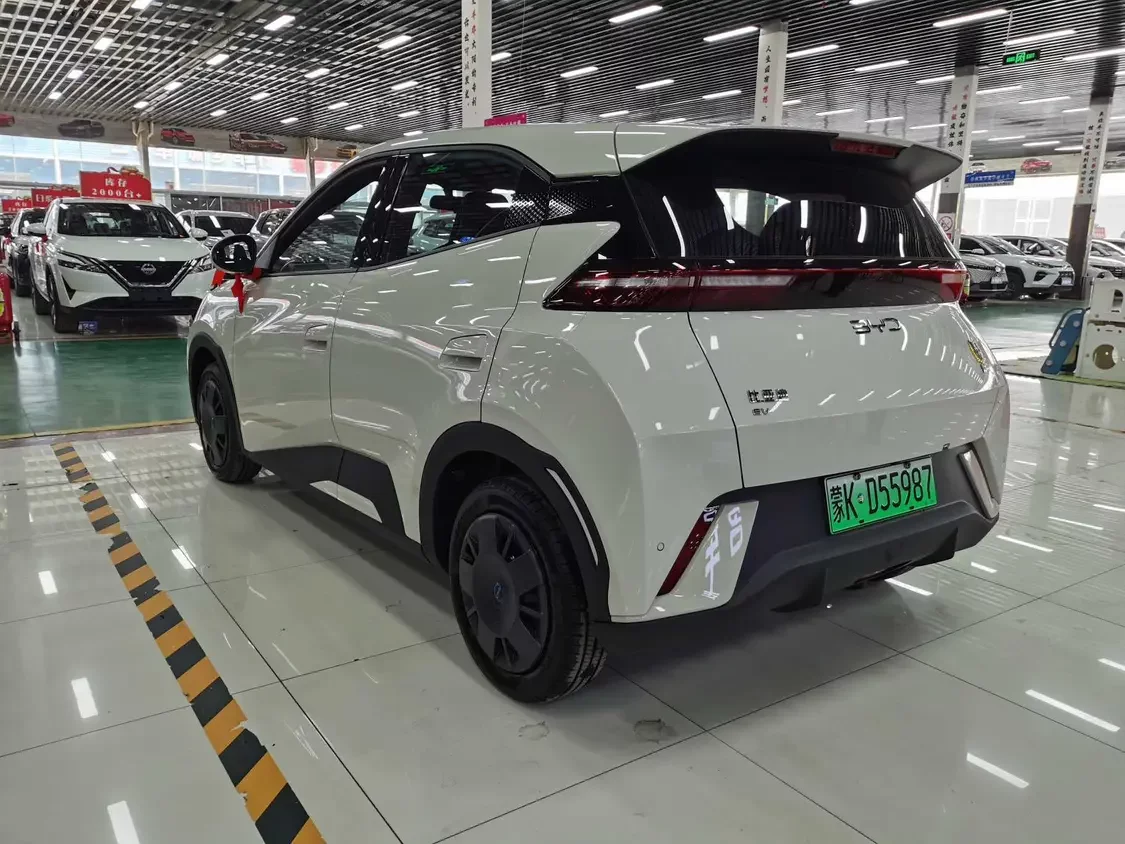 BYD seagull