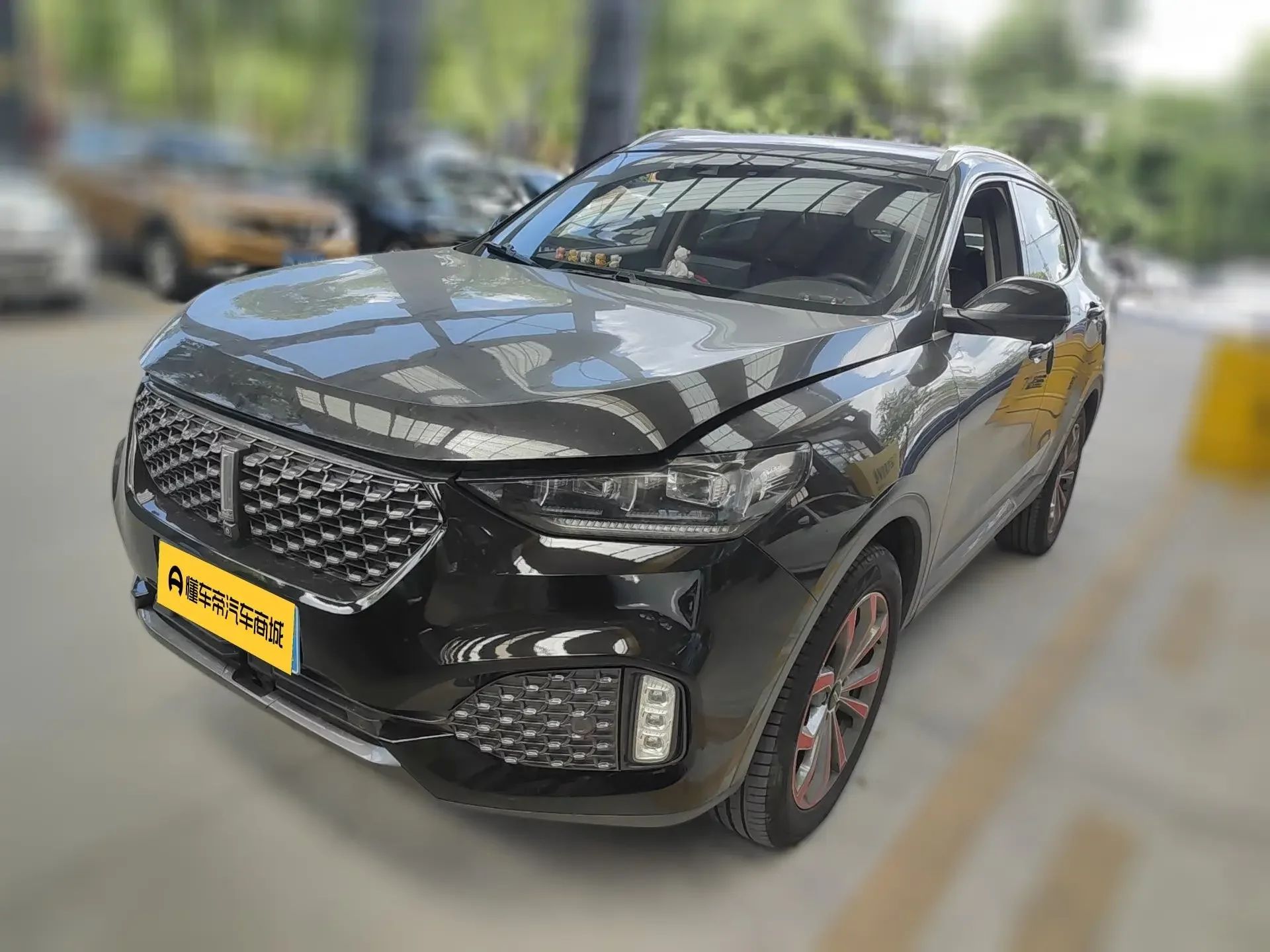 Wey Wei brand VV6