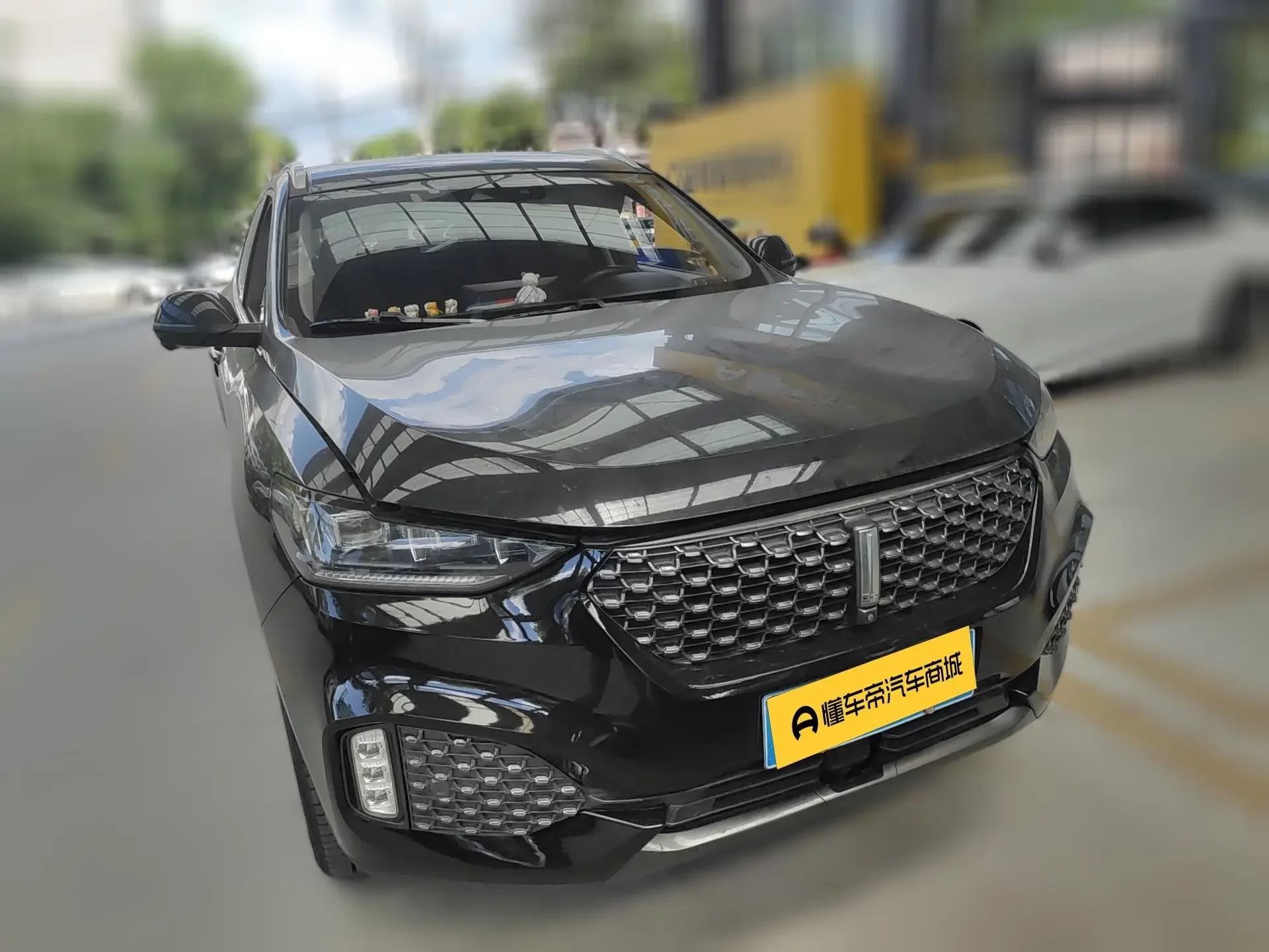 Wey Wei brand VV6
