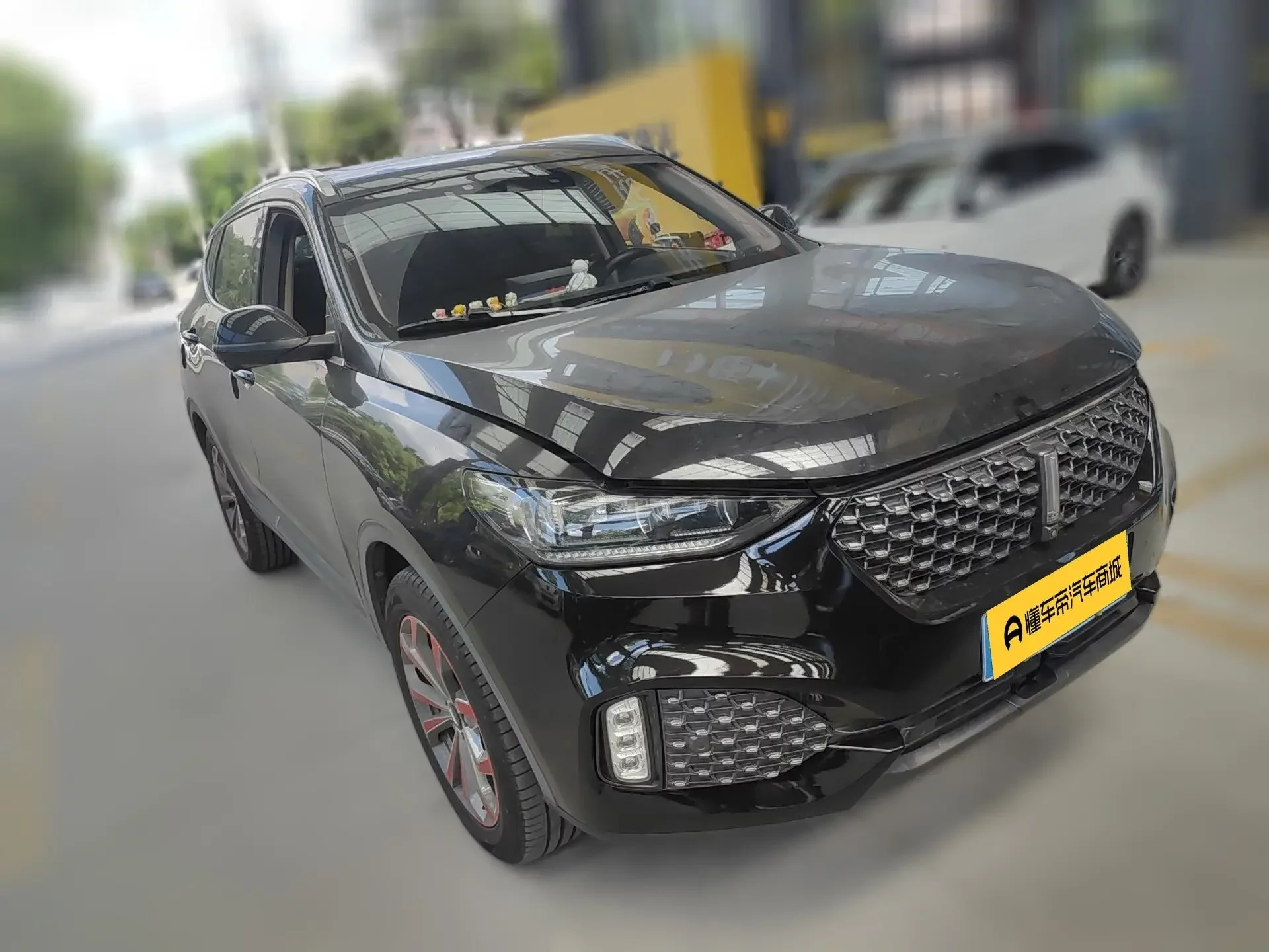 Wey Wei brand VV6