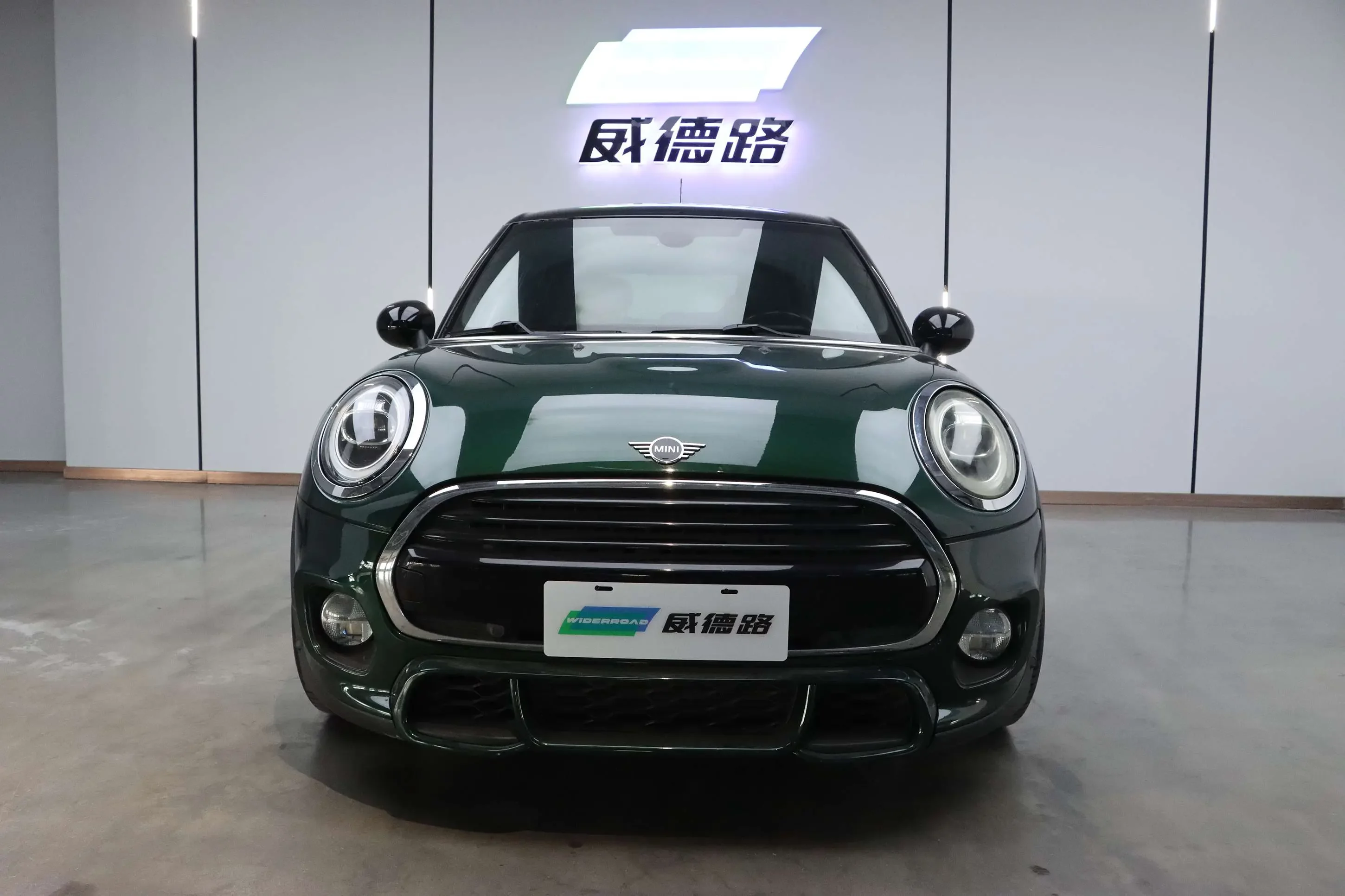 MINI 